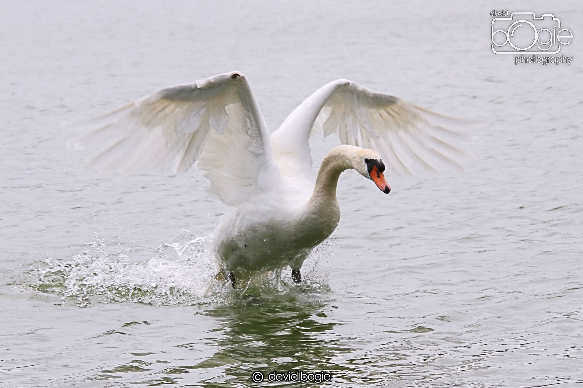 20230618 Kinghorn Loch 120810 0177.jpg