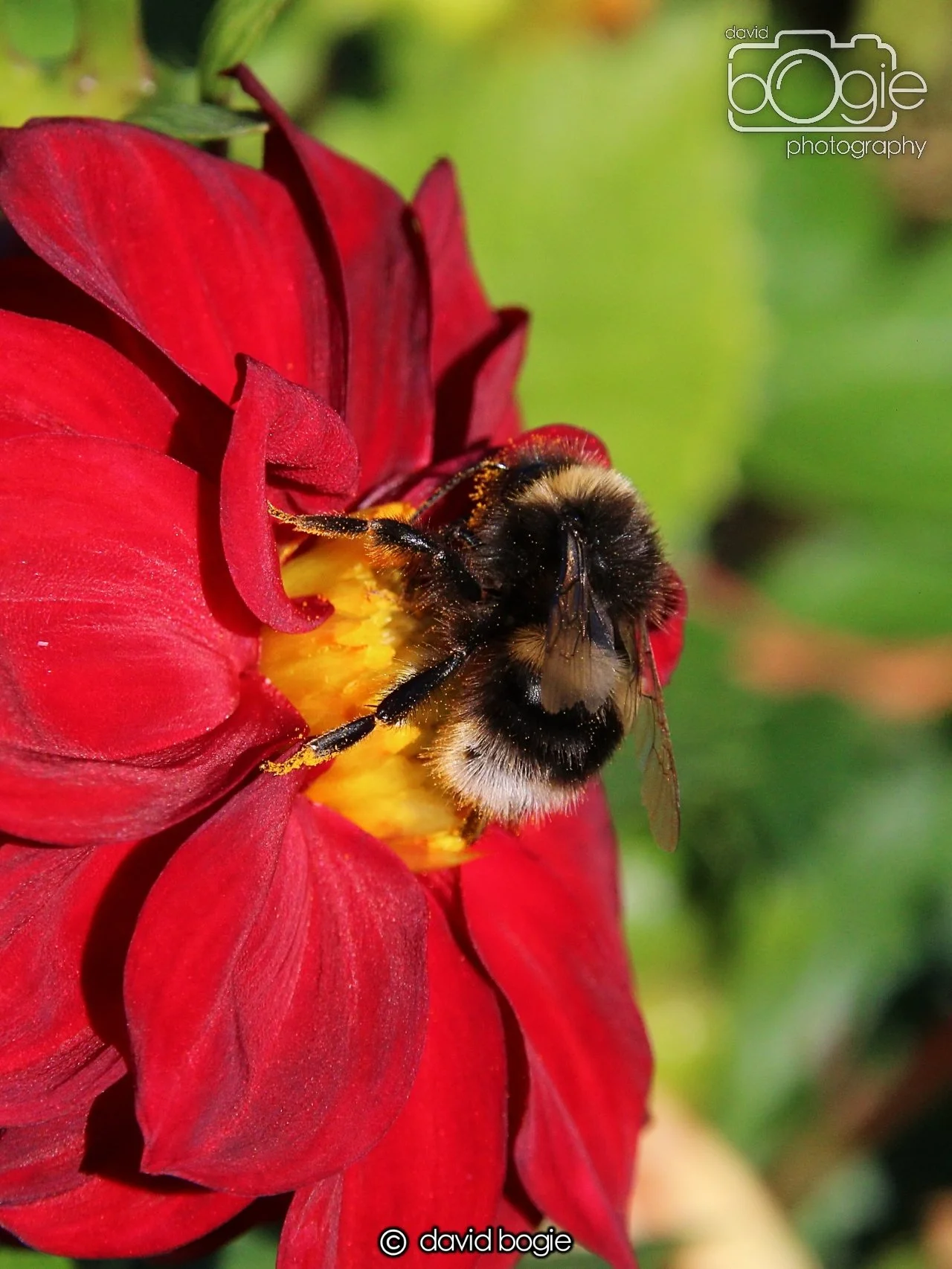 20240918 114851 Beveridge 0161.JPG