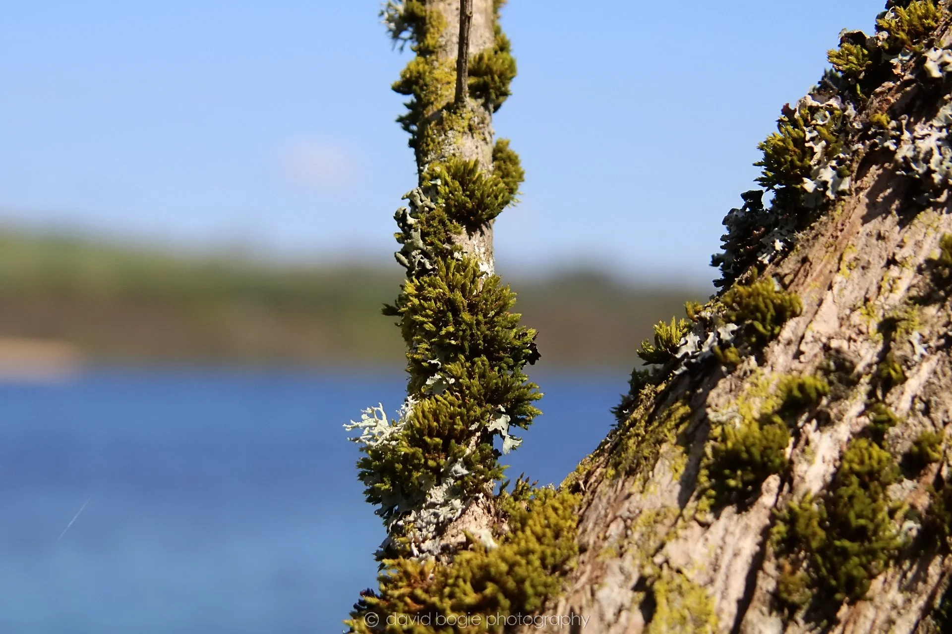 20210420 Lochore 24.jpg