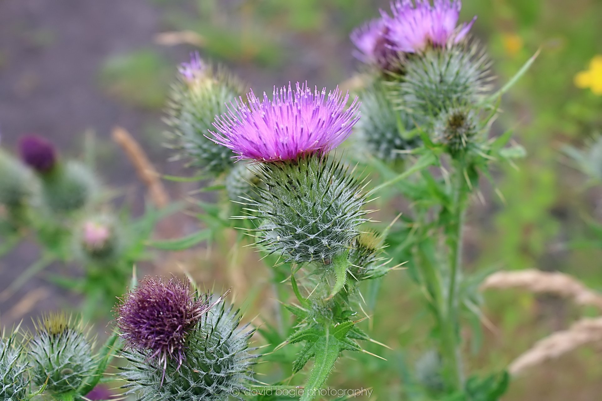 20200717 152257 Leven 0111.jpg