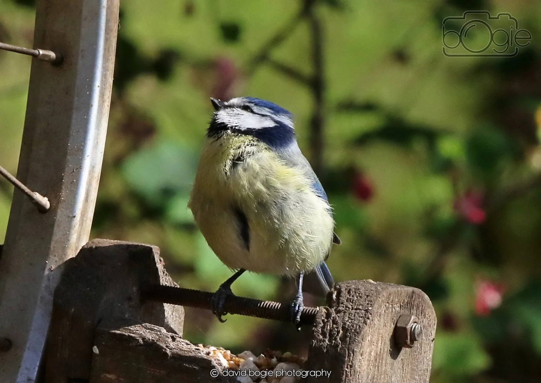 20260402 100527 Silverburn 0090.jpg