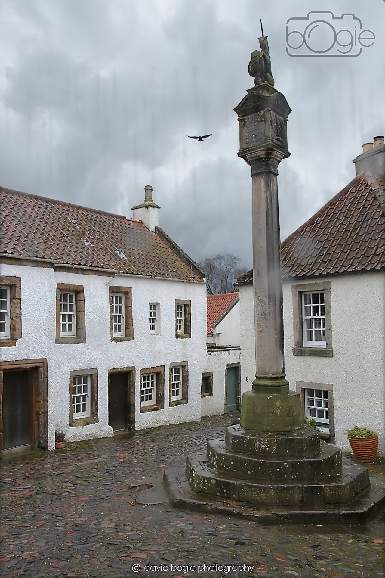 20260401 125402 Culross 0198r.jpg