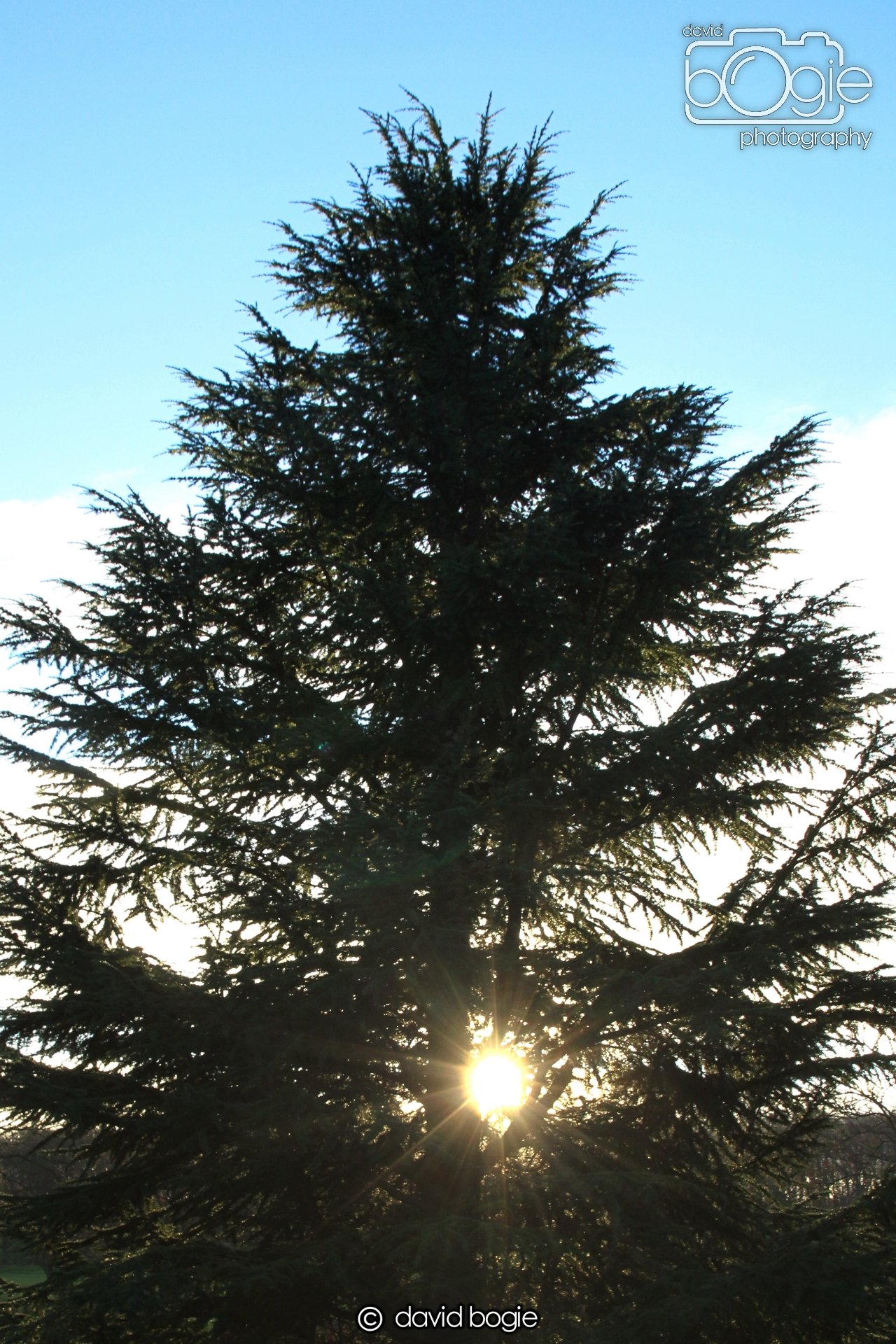 20221222 Beveridge Park 00012.JPG