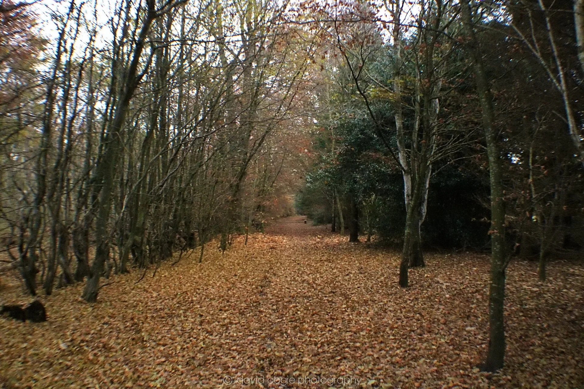 20191121 112051 Falkland 0002.jpg