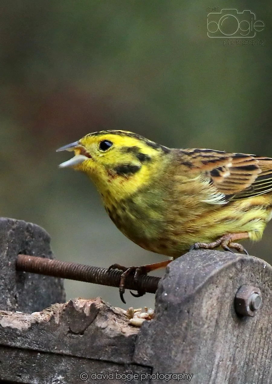 20260215 132439 Silverburn 0142.jpg