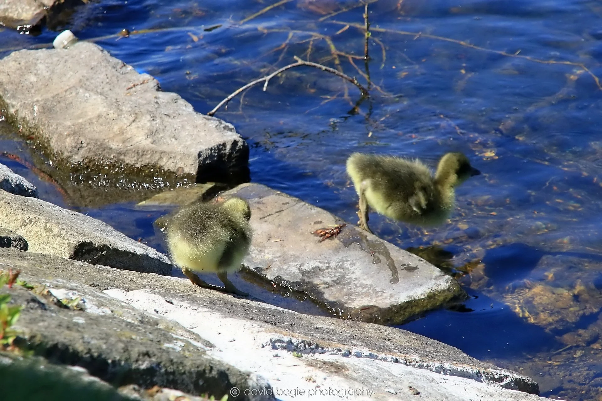 YEAR20250505 140322 Beveridge Park 1051.jpg