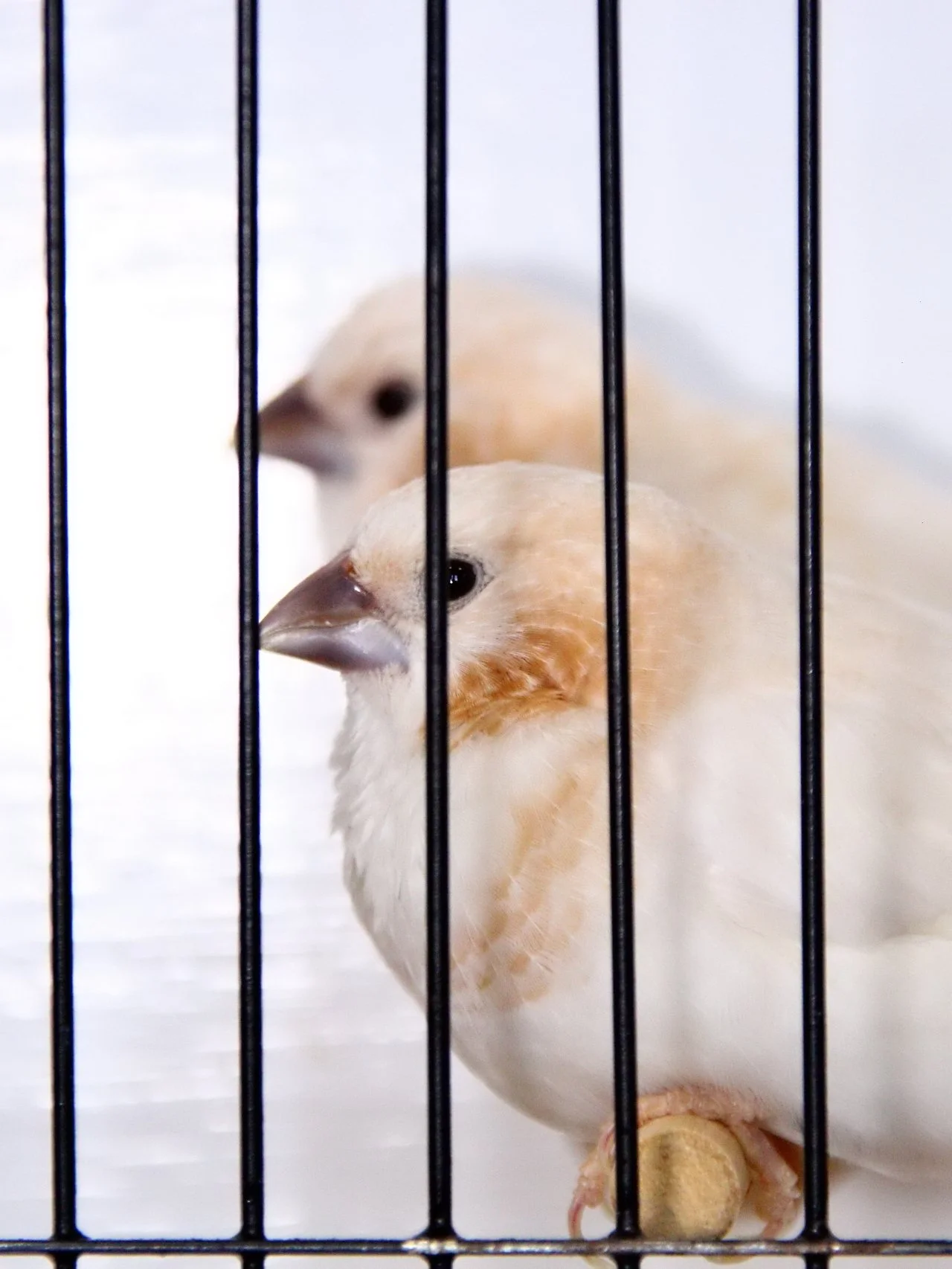 20241103 131055 MCBS Show 0484.JPG