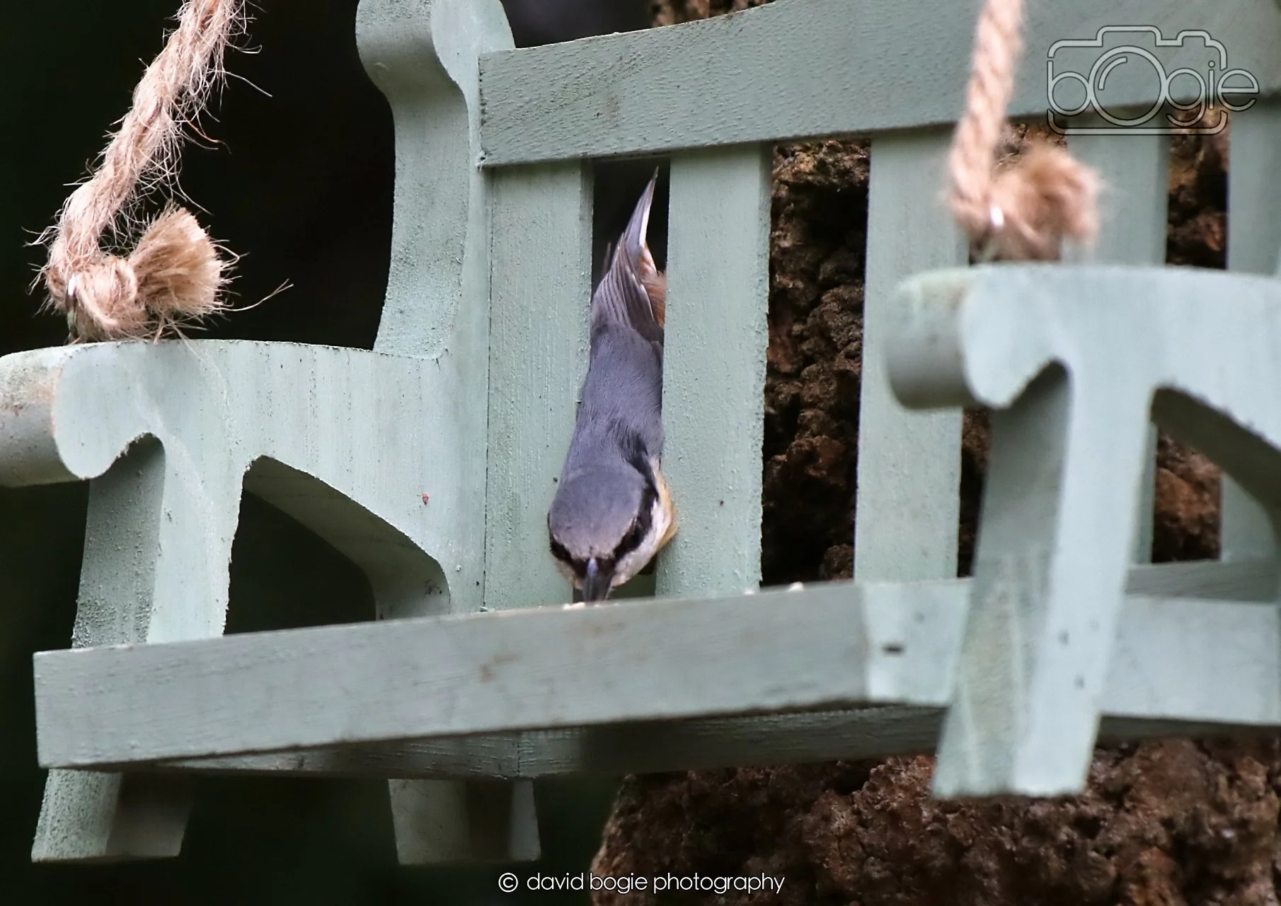 20260330 120439 Dunnikier 0358.jpg