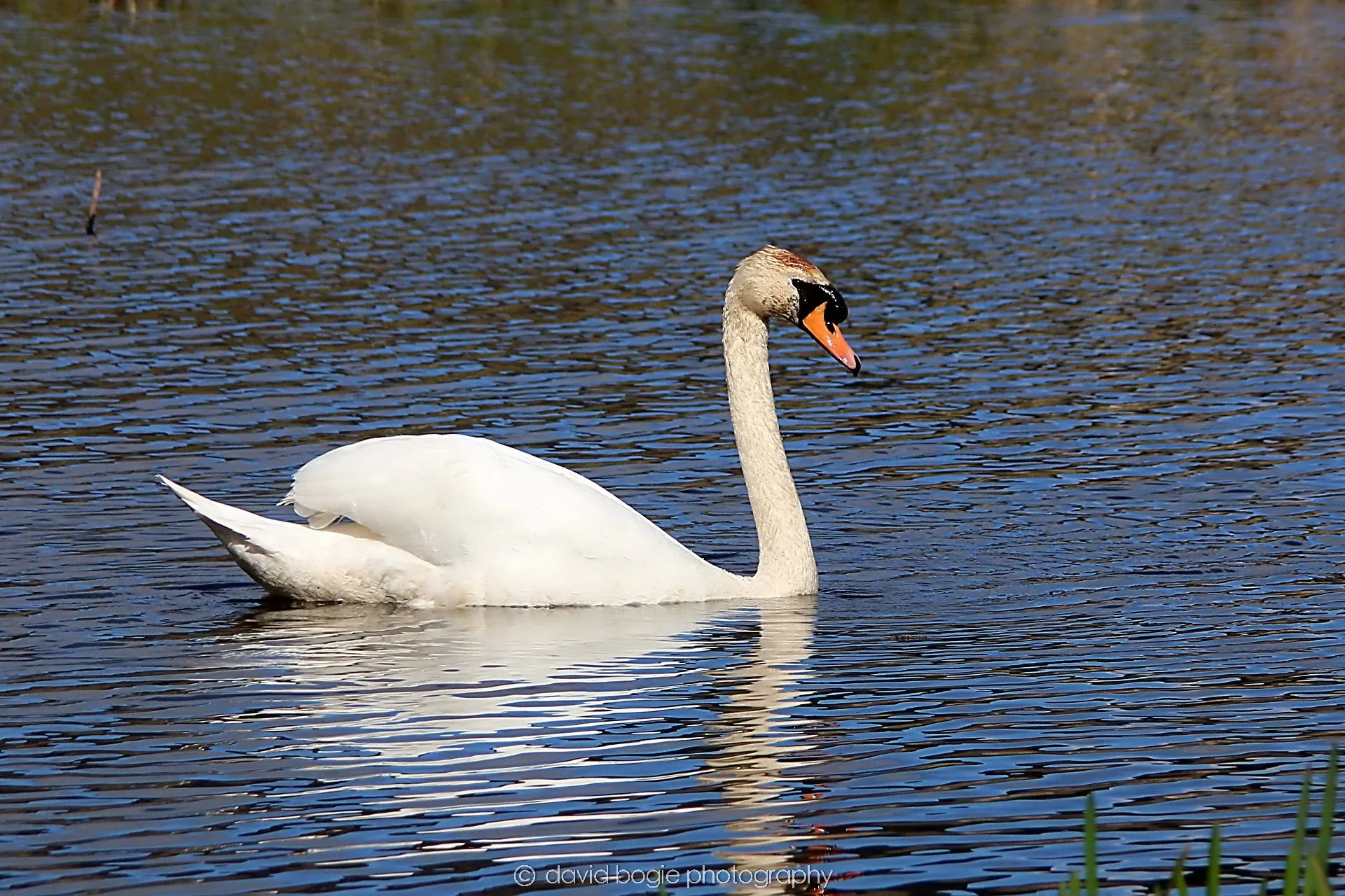YEAR20230410 Lochore 00140.jpg