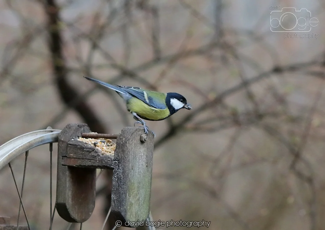 20260215 130015 Silverburn 0015.jpg