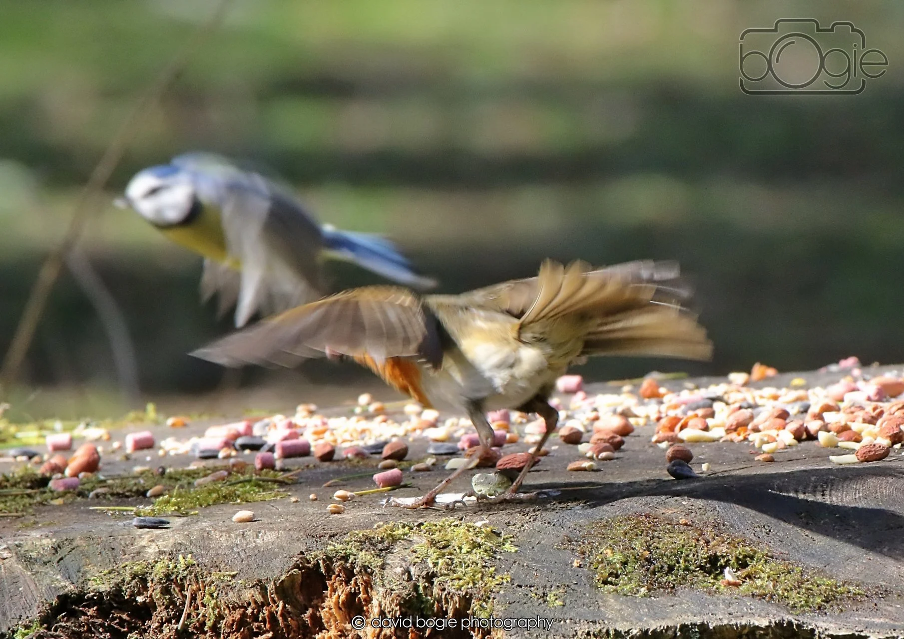 20260402 123147 Ravenscraig 0390.jpg