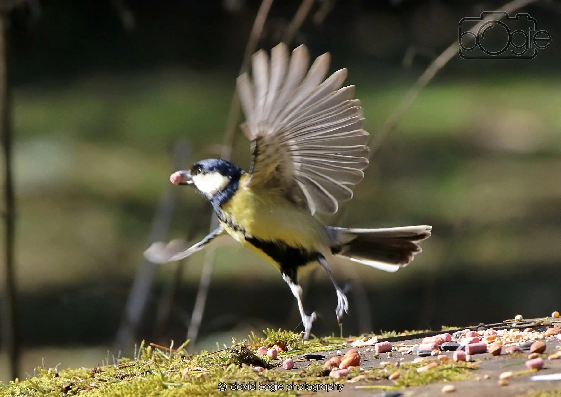 20260402 123827 Ravenscraig 0488.jpg