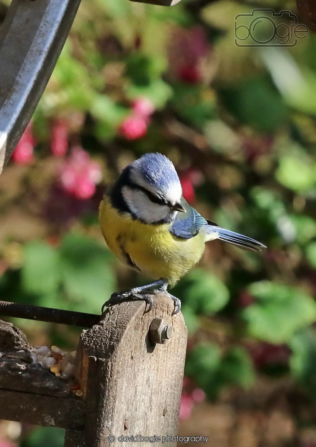 20260402 100809 Silverburn 0102.jpg