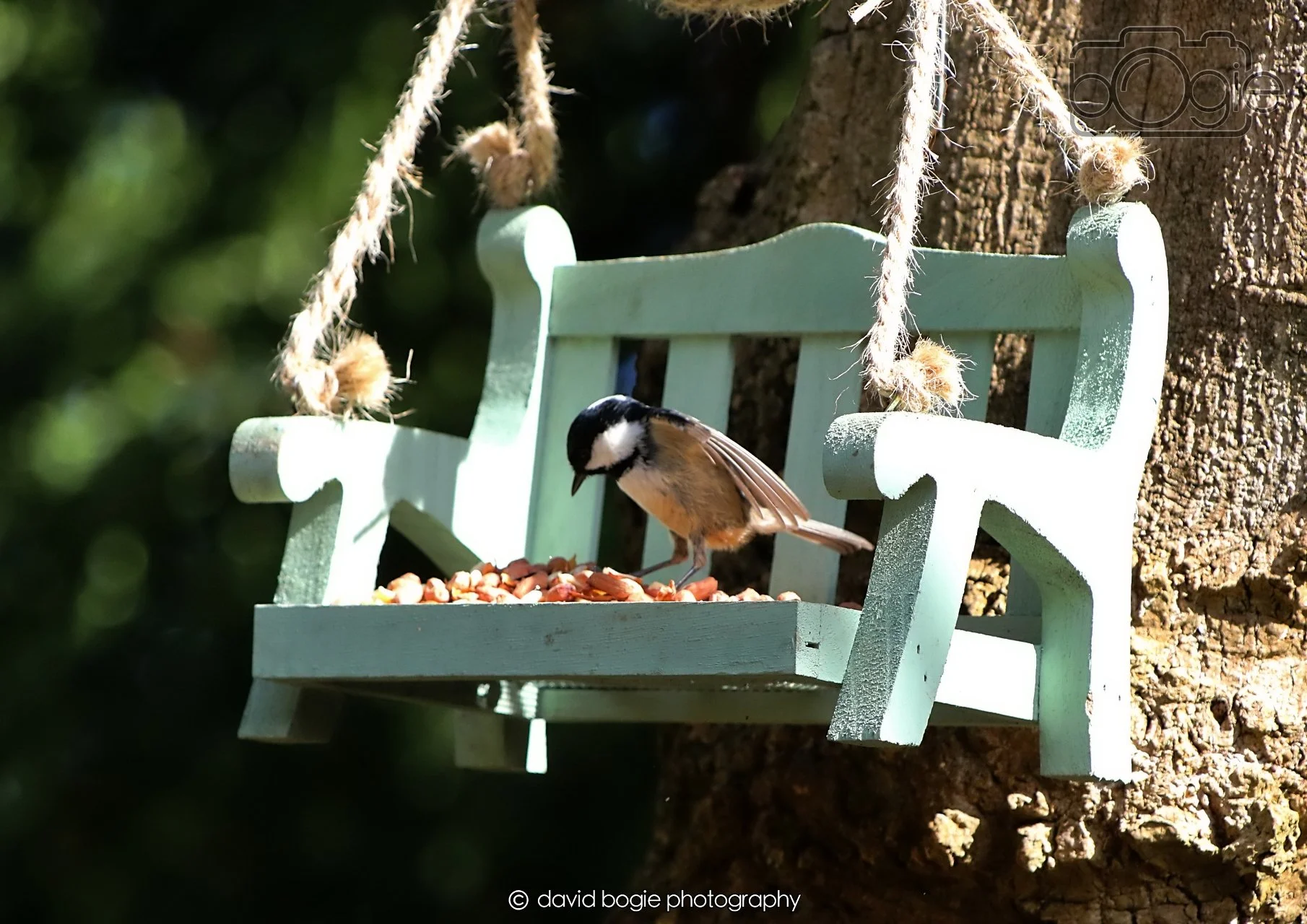 20260403 121811 Dunnikier 0113.jpg