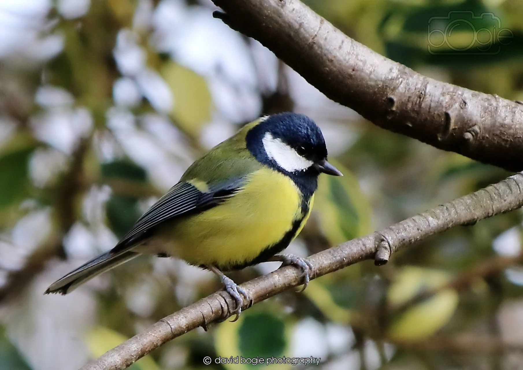 20260326 120211 Silverburn 0325.jpg