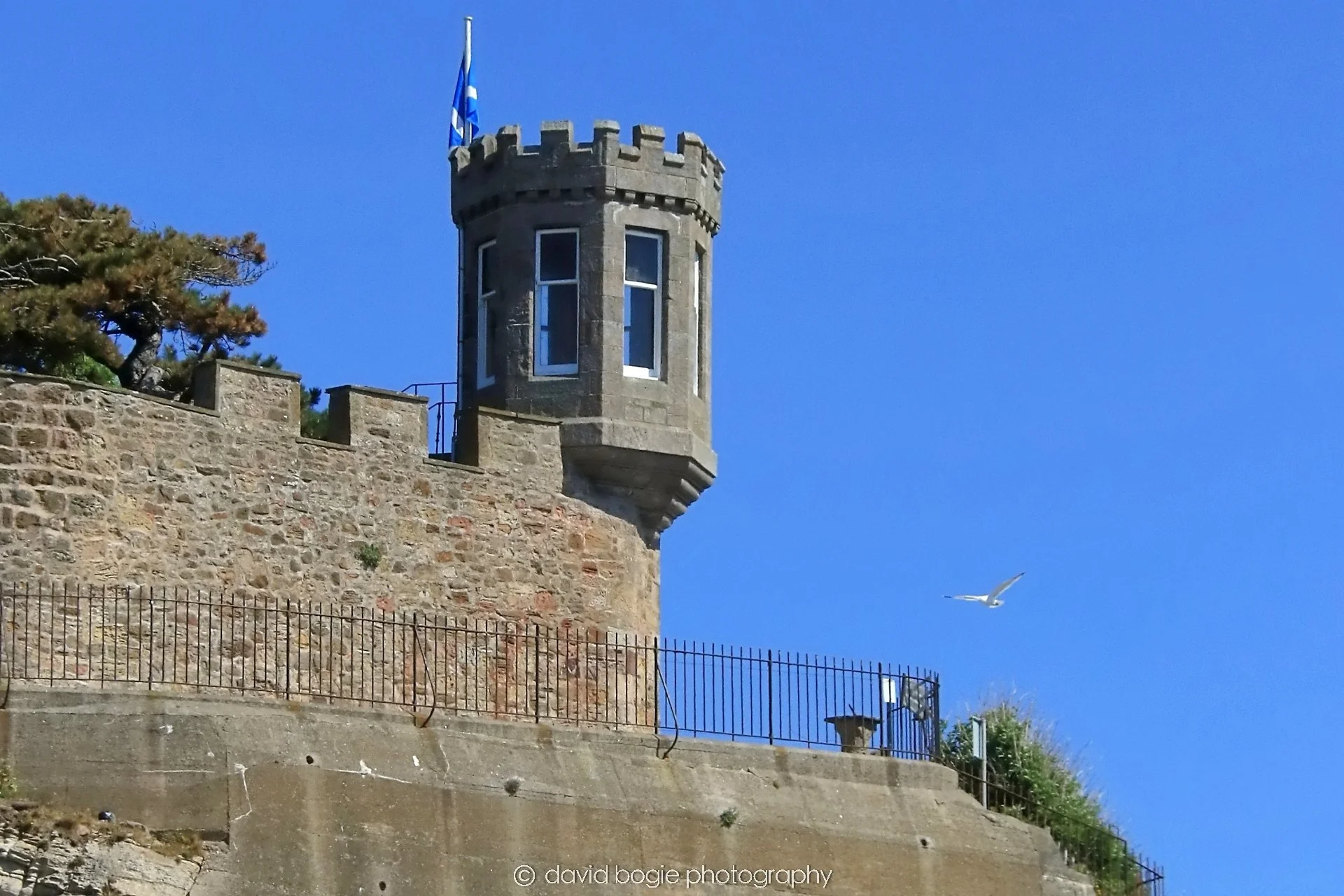 YEAR20250509 120822 Crail 0223.jpg