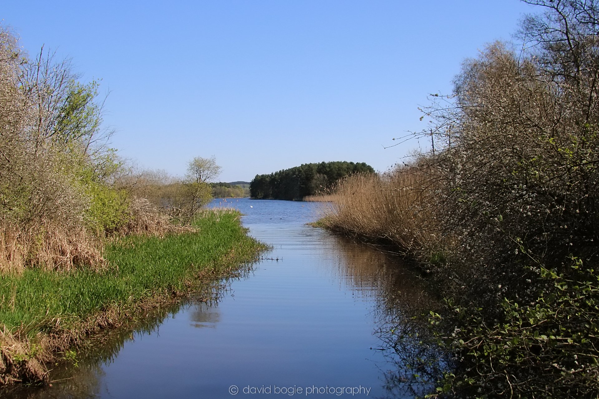 20210420 Lochore 27.jpg