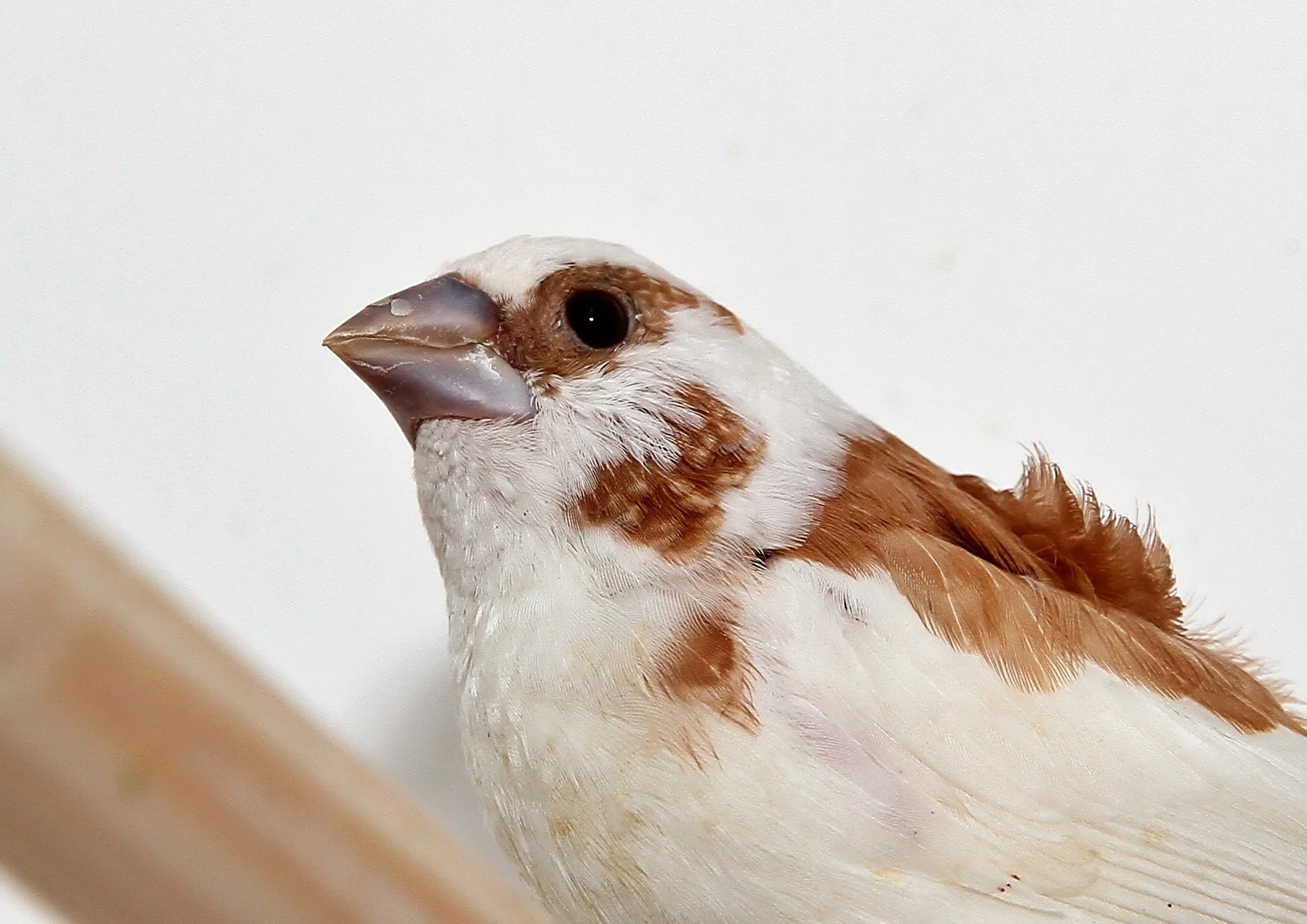 20260331 111858 K&S 0485.jpg