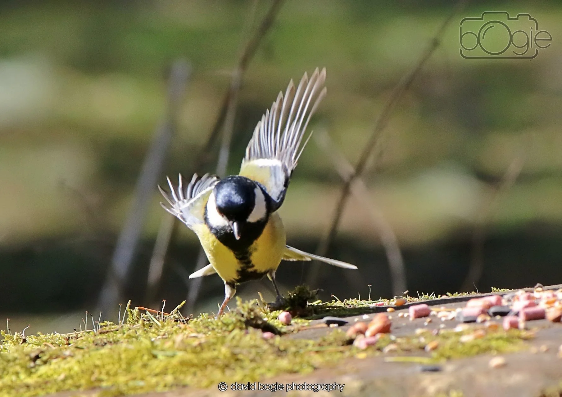 20260402 124007 Ravenscraig 0503.jpg