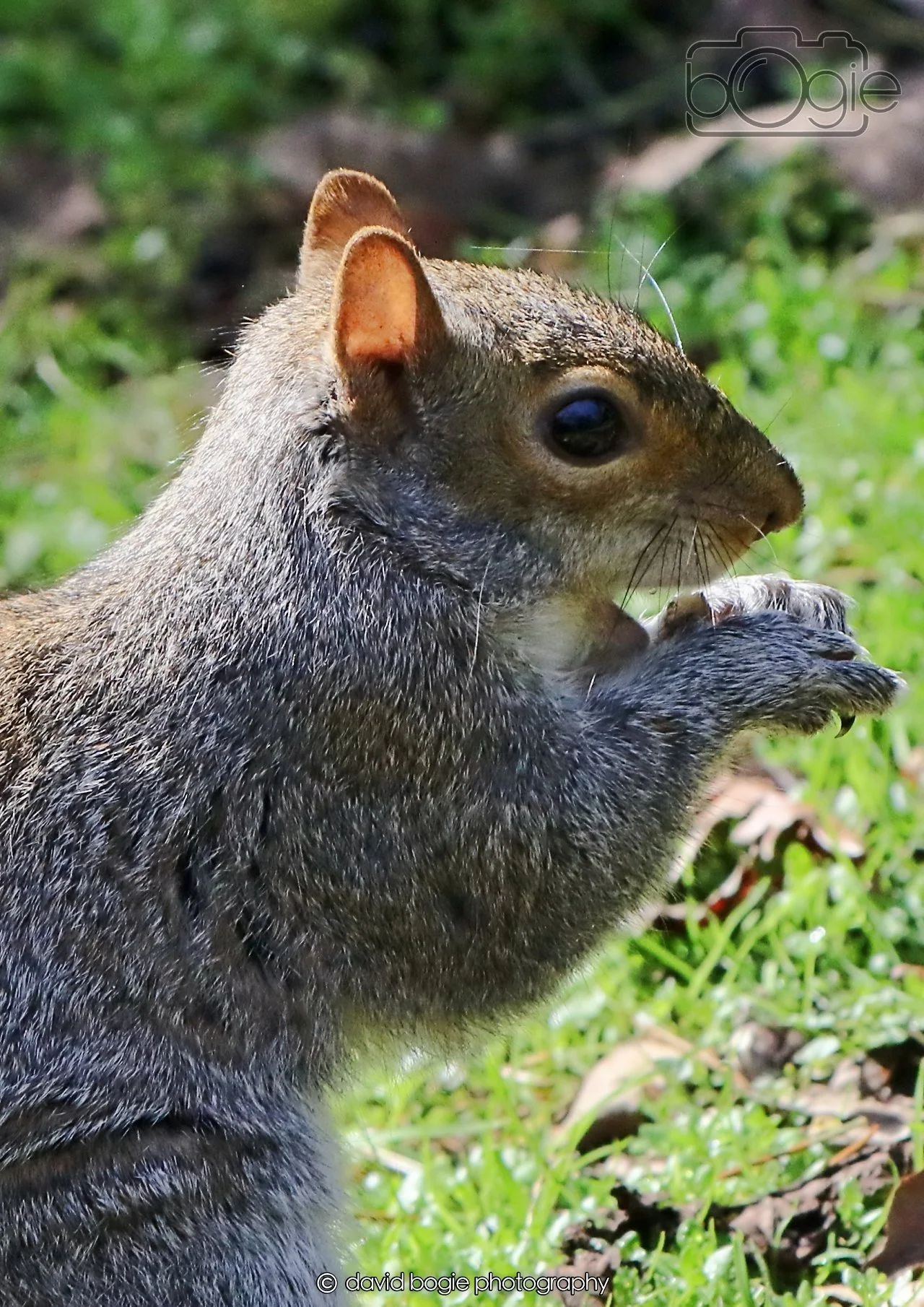 20260402 123324 Ravenscraig 0406.jpg