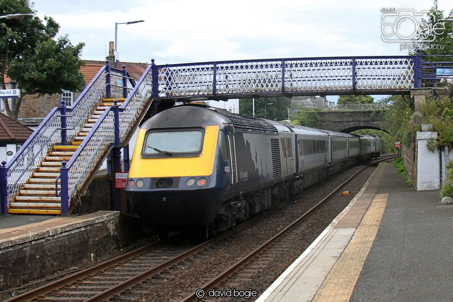 20230814 Kinghorn 135900 0226.jpg