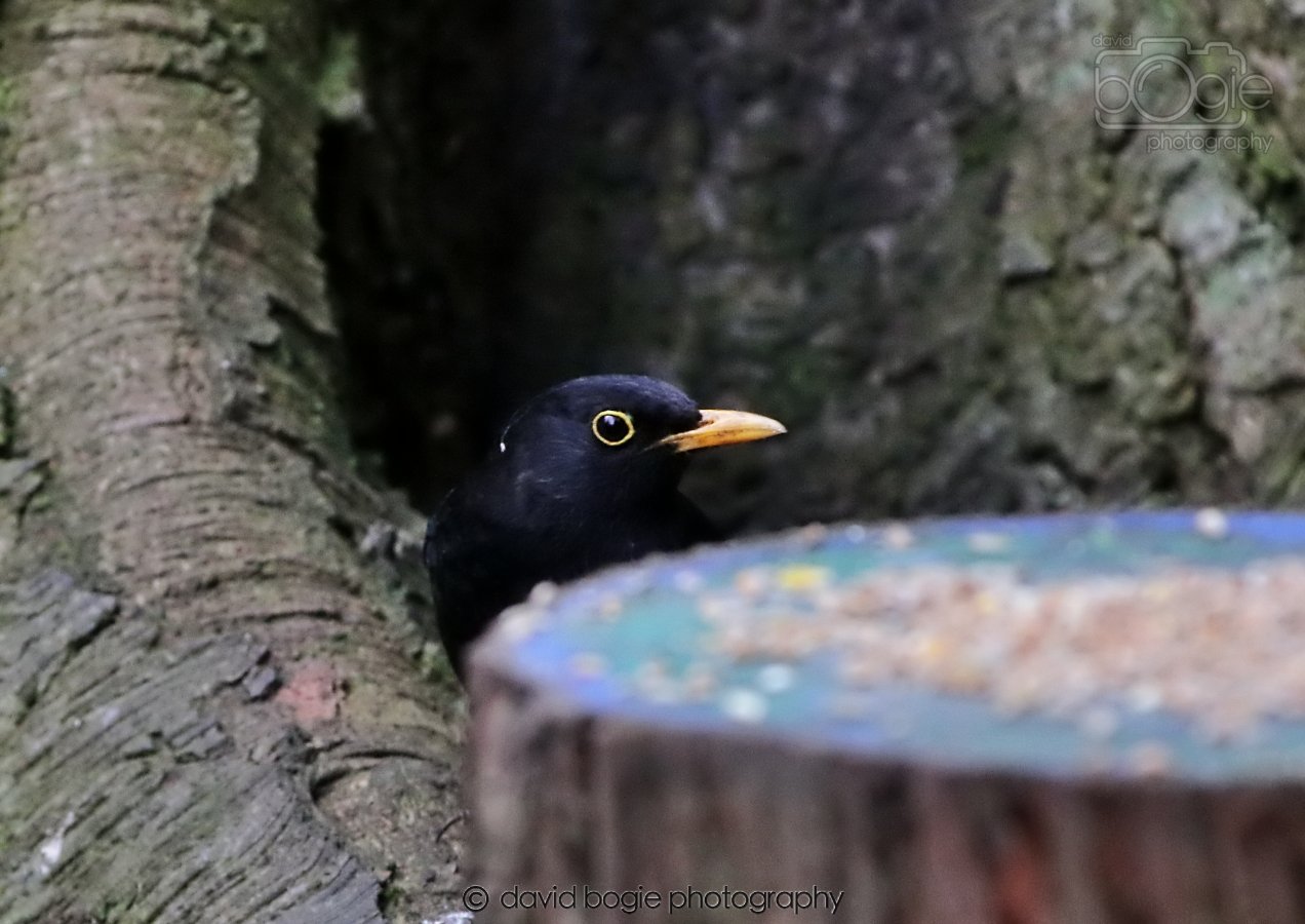 20260309 114453 Dunnikier 0349.jpg