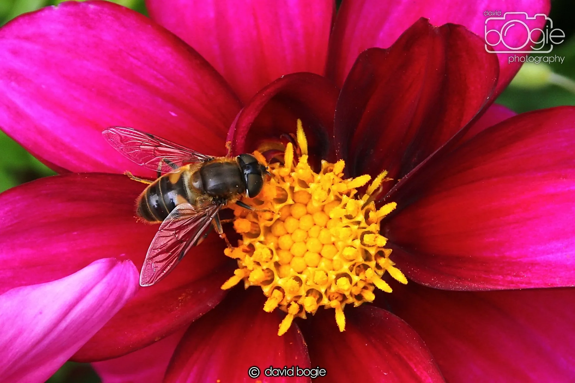 20240722 131656 Beveridge 0071.JPG