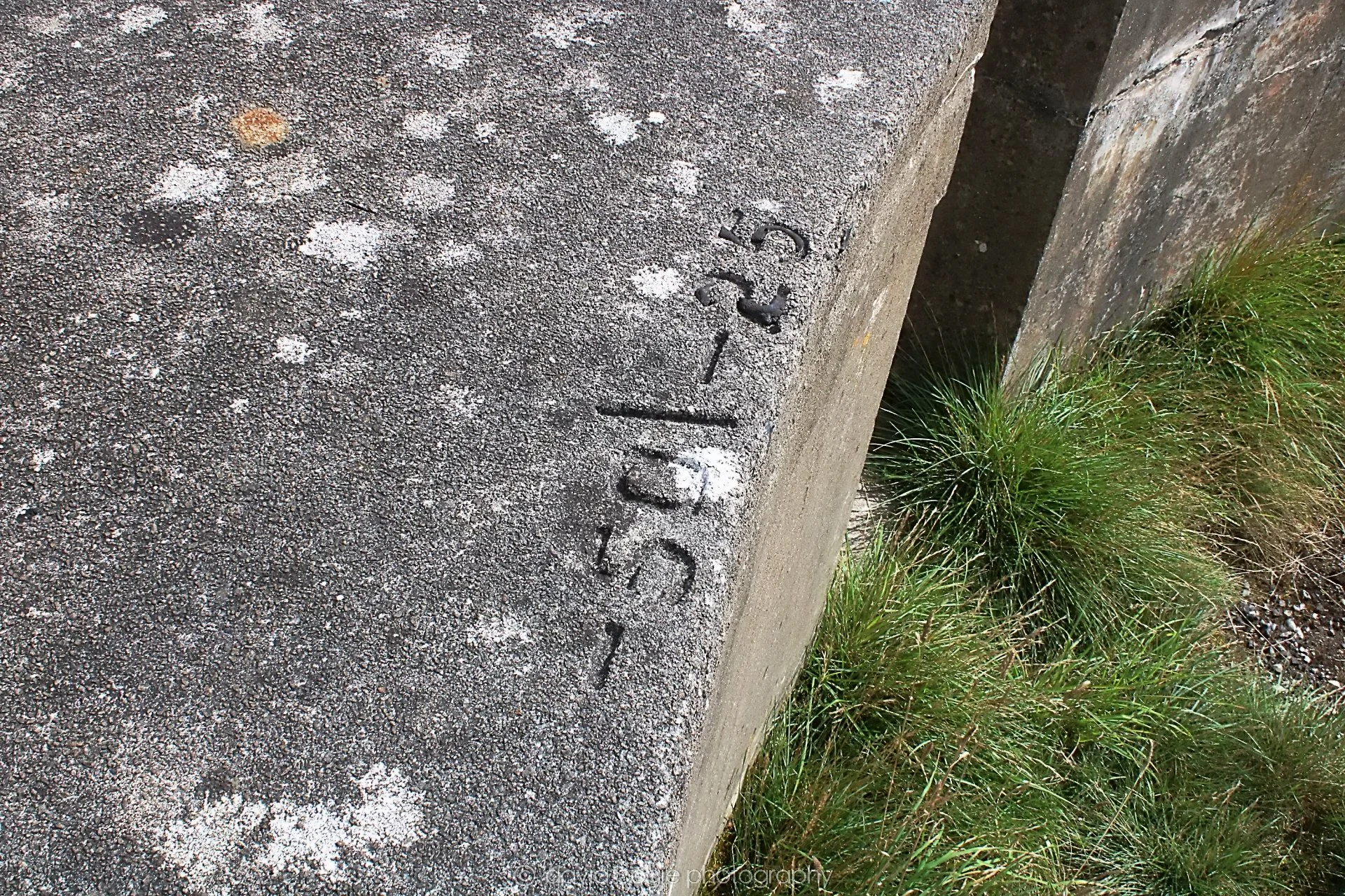 20210817 Earlsferry 00014.jpg