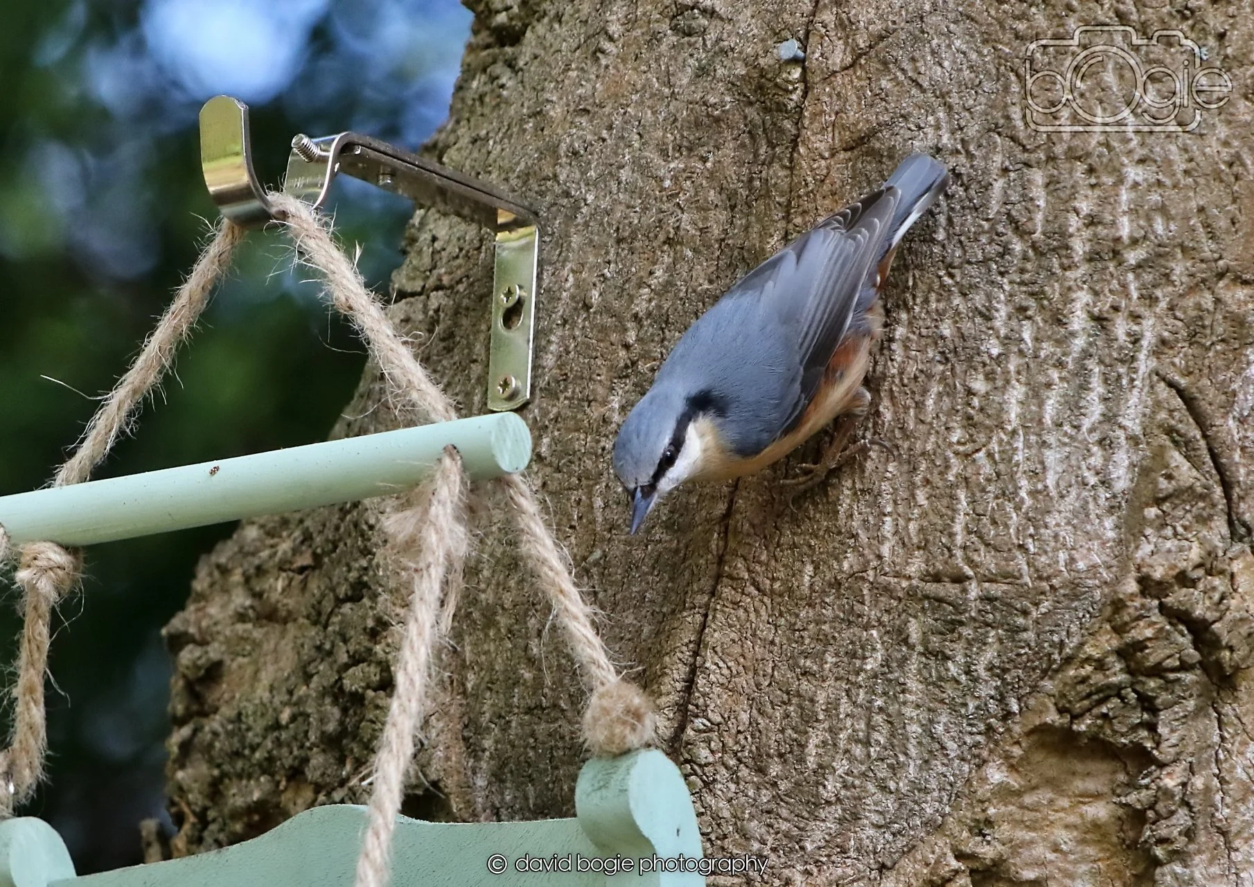 20260330 115504 Dunnikier 0276.jpg