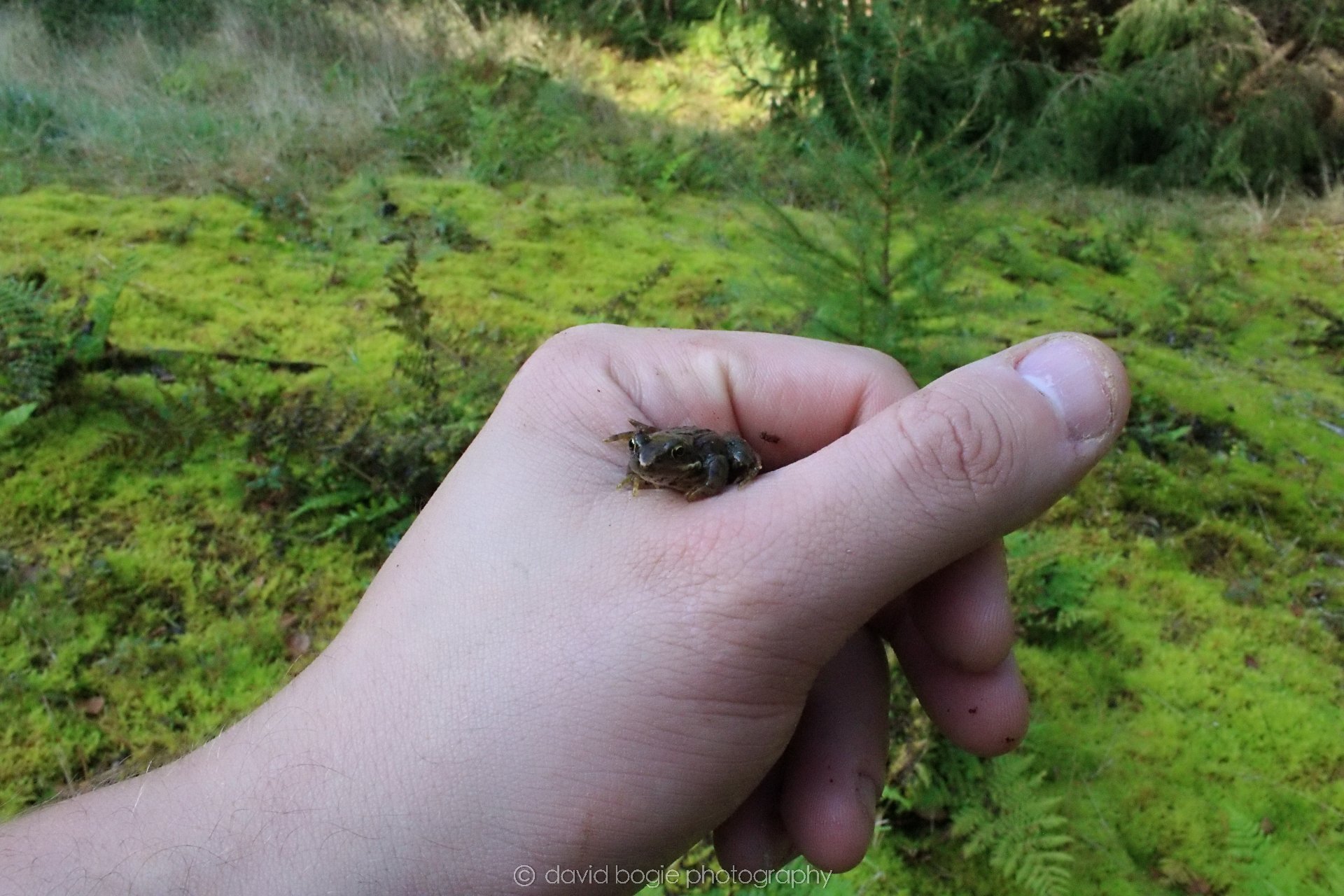 20191014 135446 Tentsmuir 0044.jpg