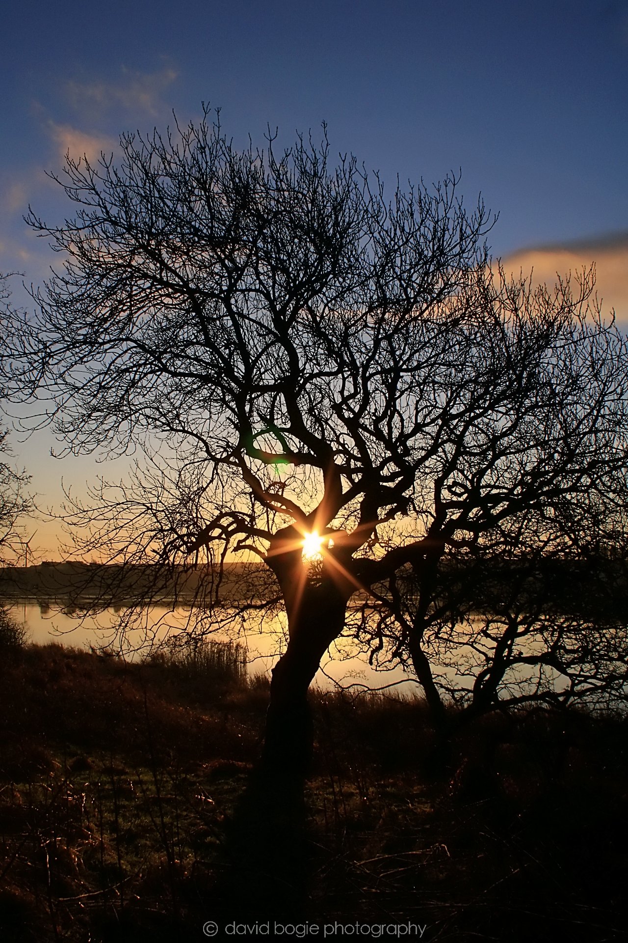 20191218 091731 Lochgelly 0009.jpg