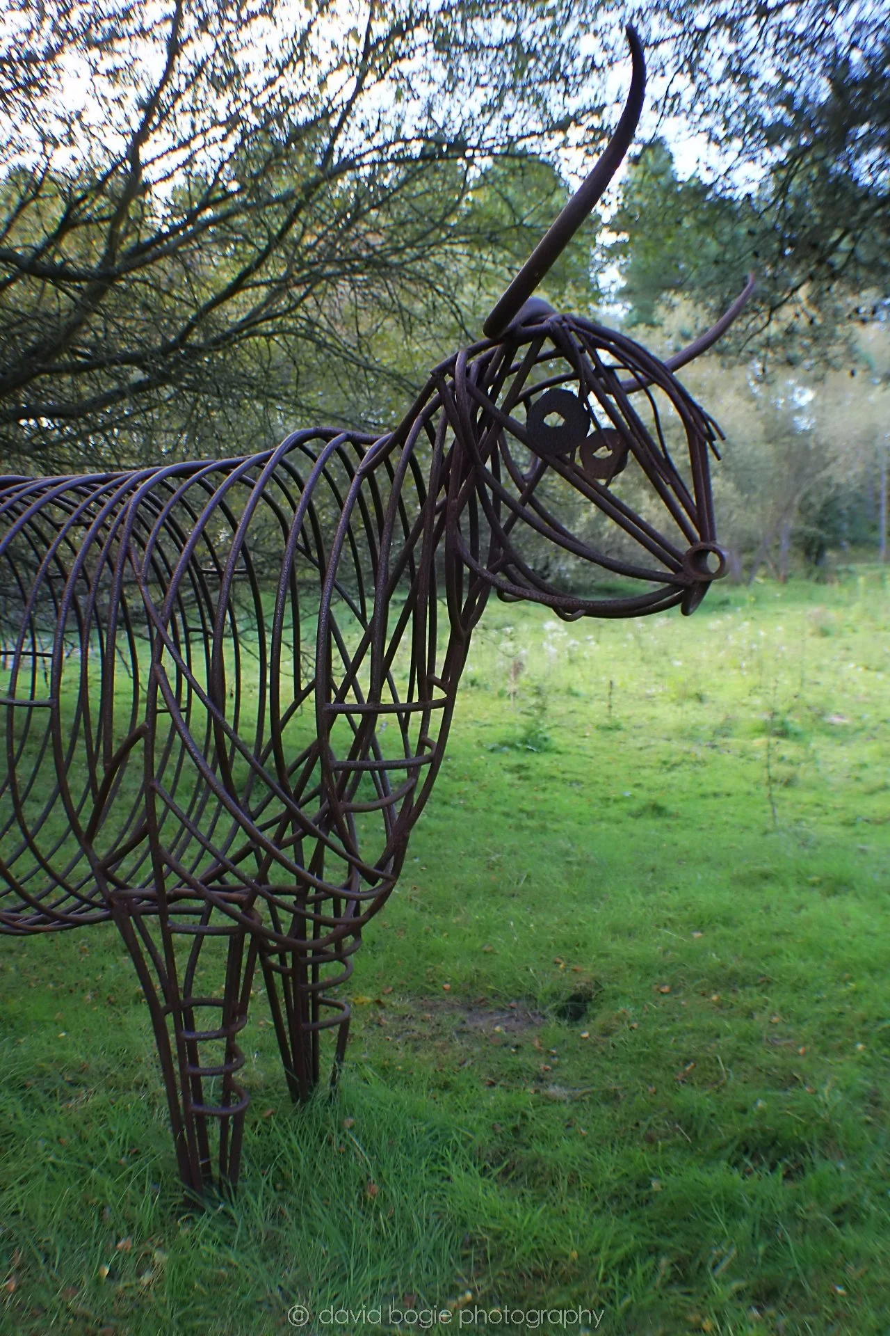20191002 130929 Tentsmuir 0016.jpg