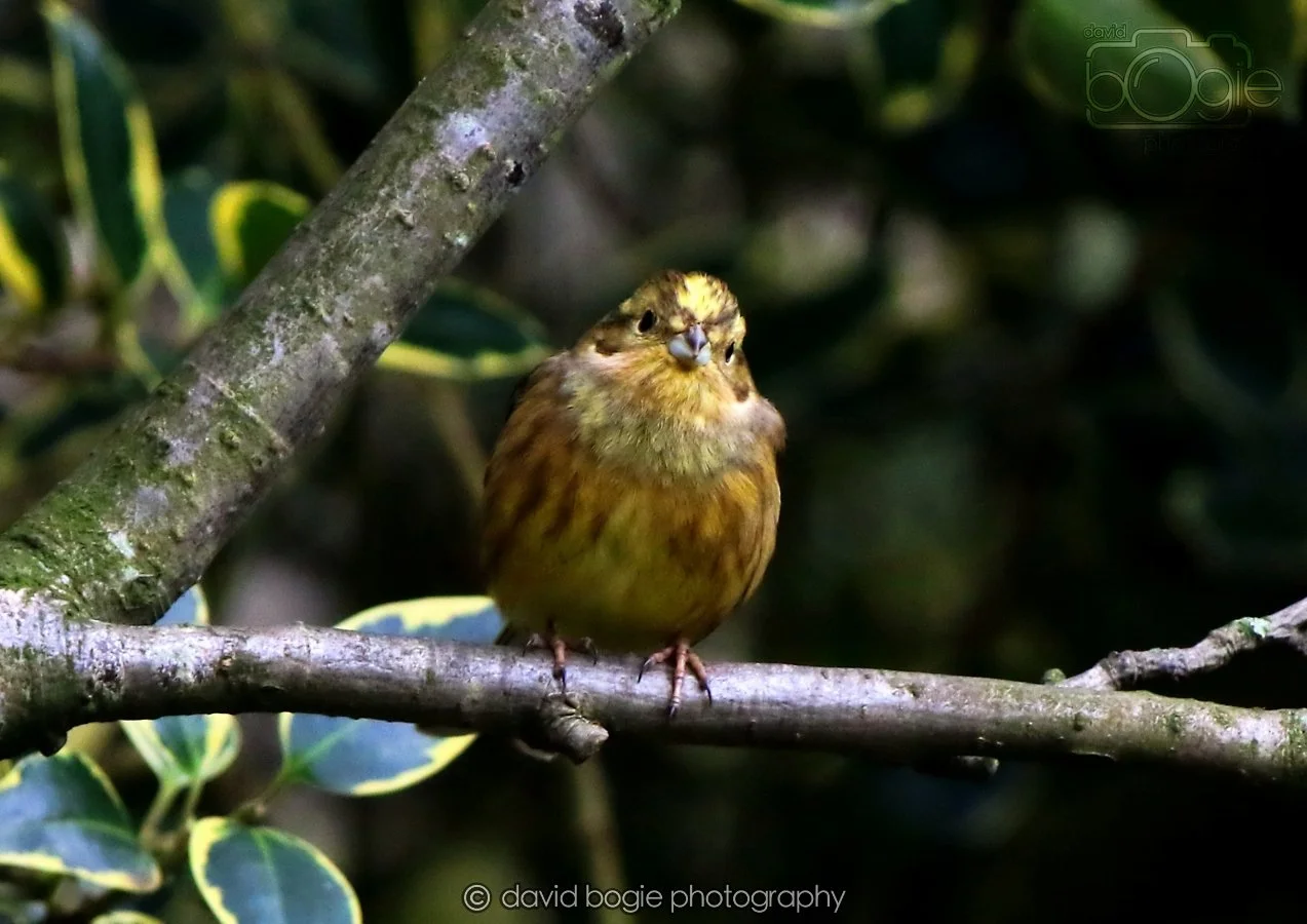 20260215 130450 Silverburn 0046.jpg