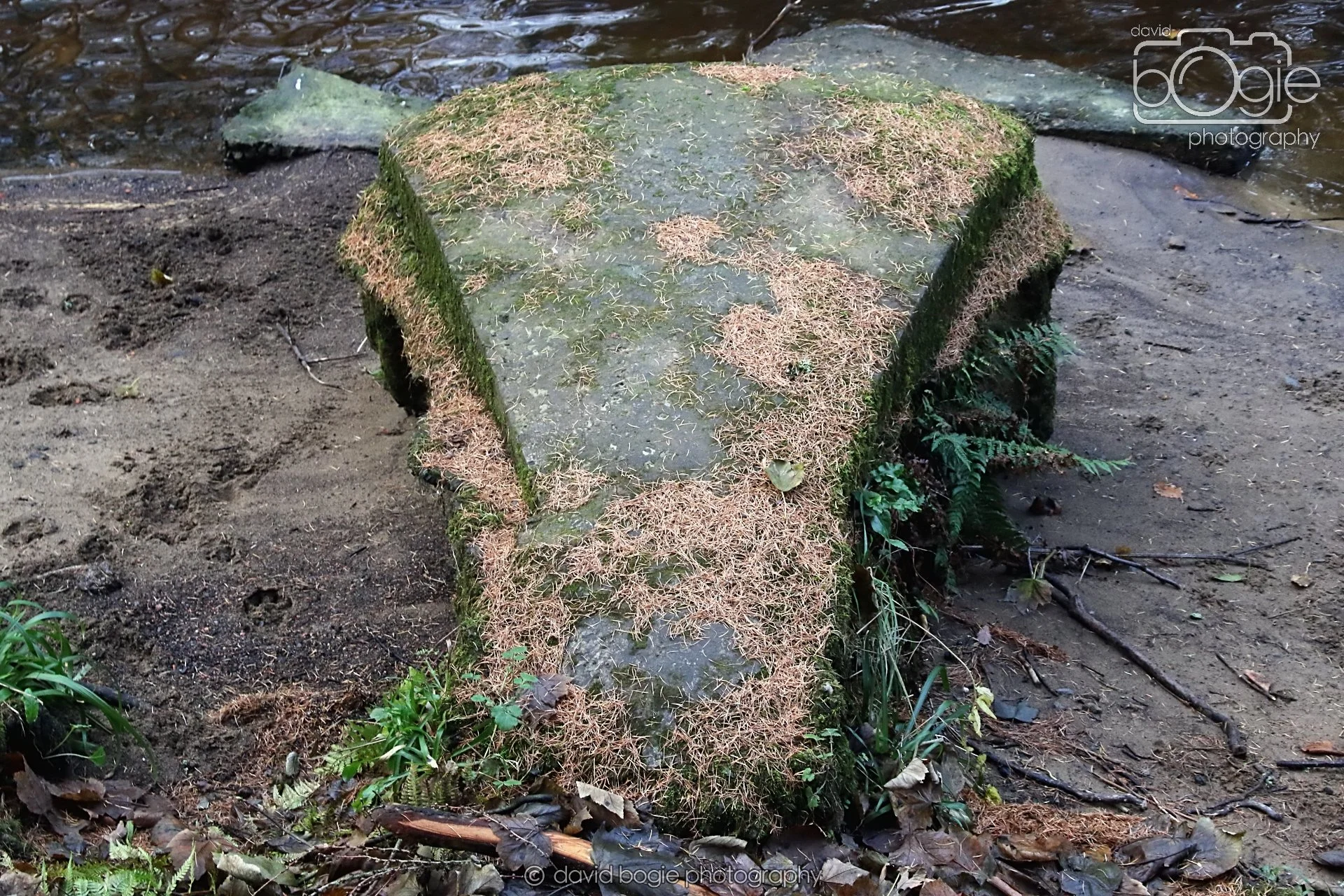 20251205 130306 East Calder 0076.JPG