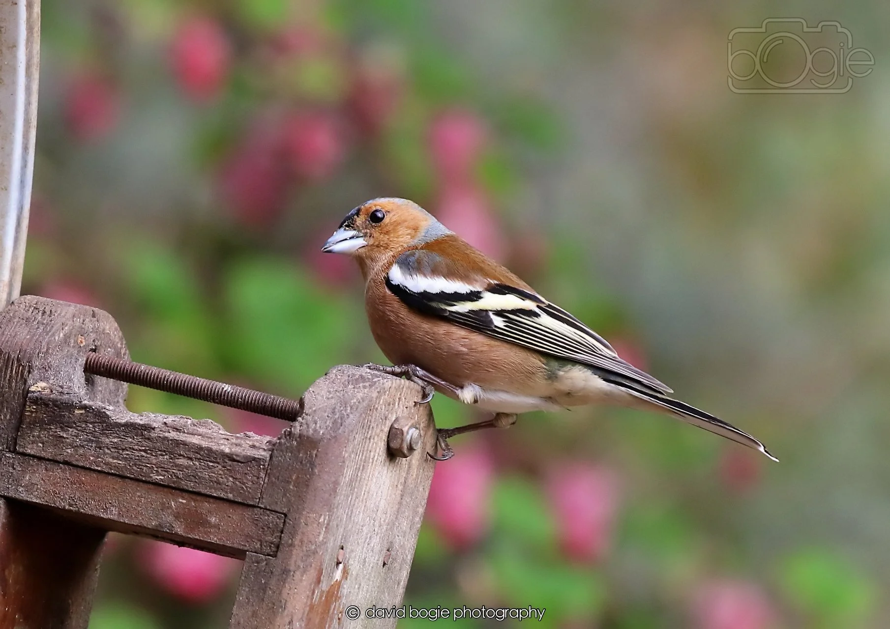 20260326 120344 Silverburn 0361.jpg