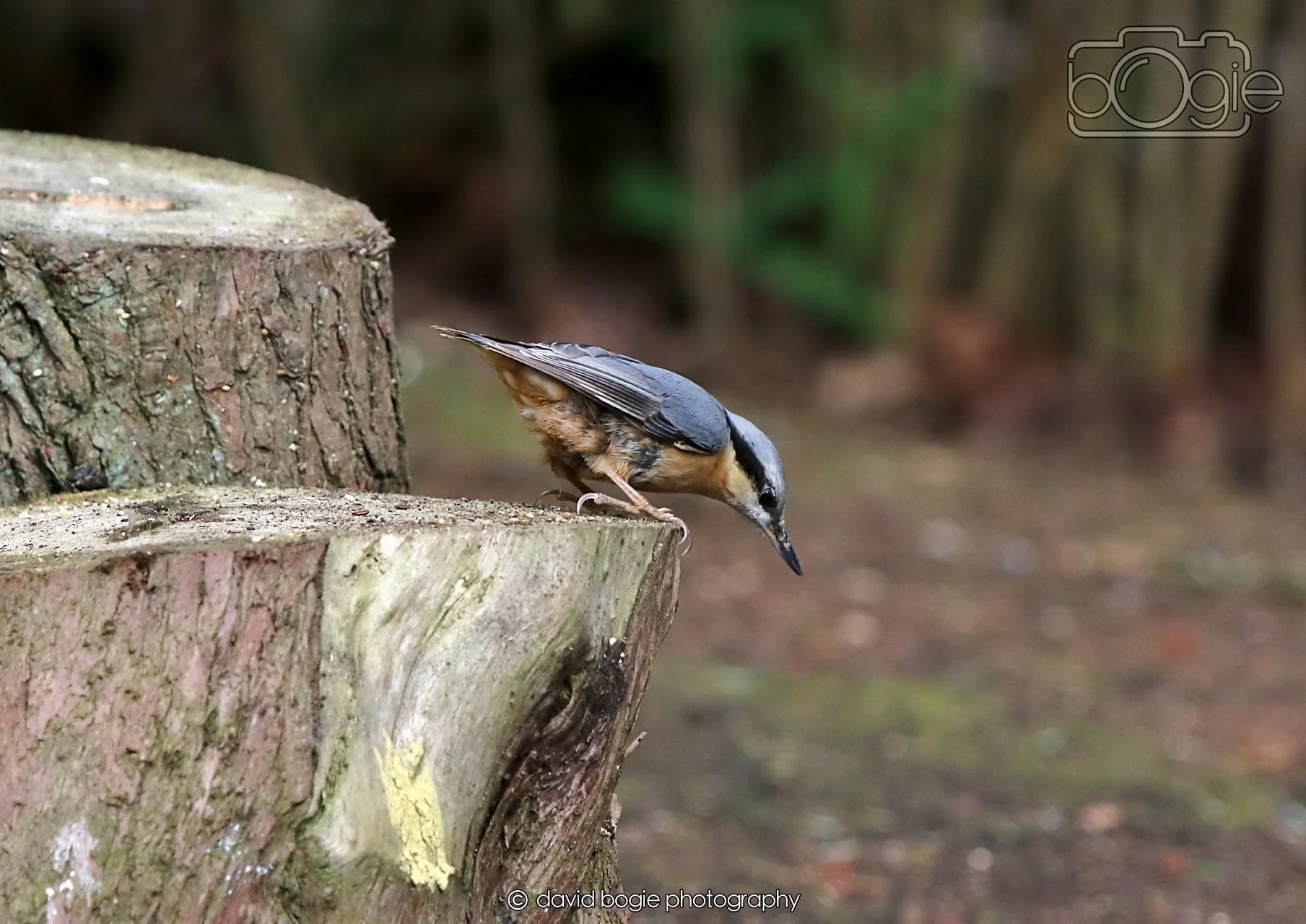 20260330 120144 Dunnikier 0353.jpg