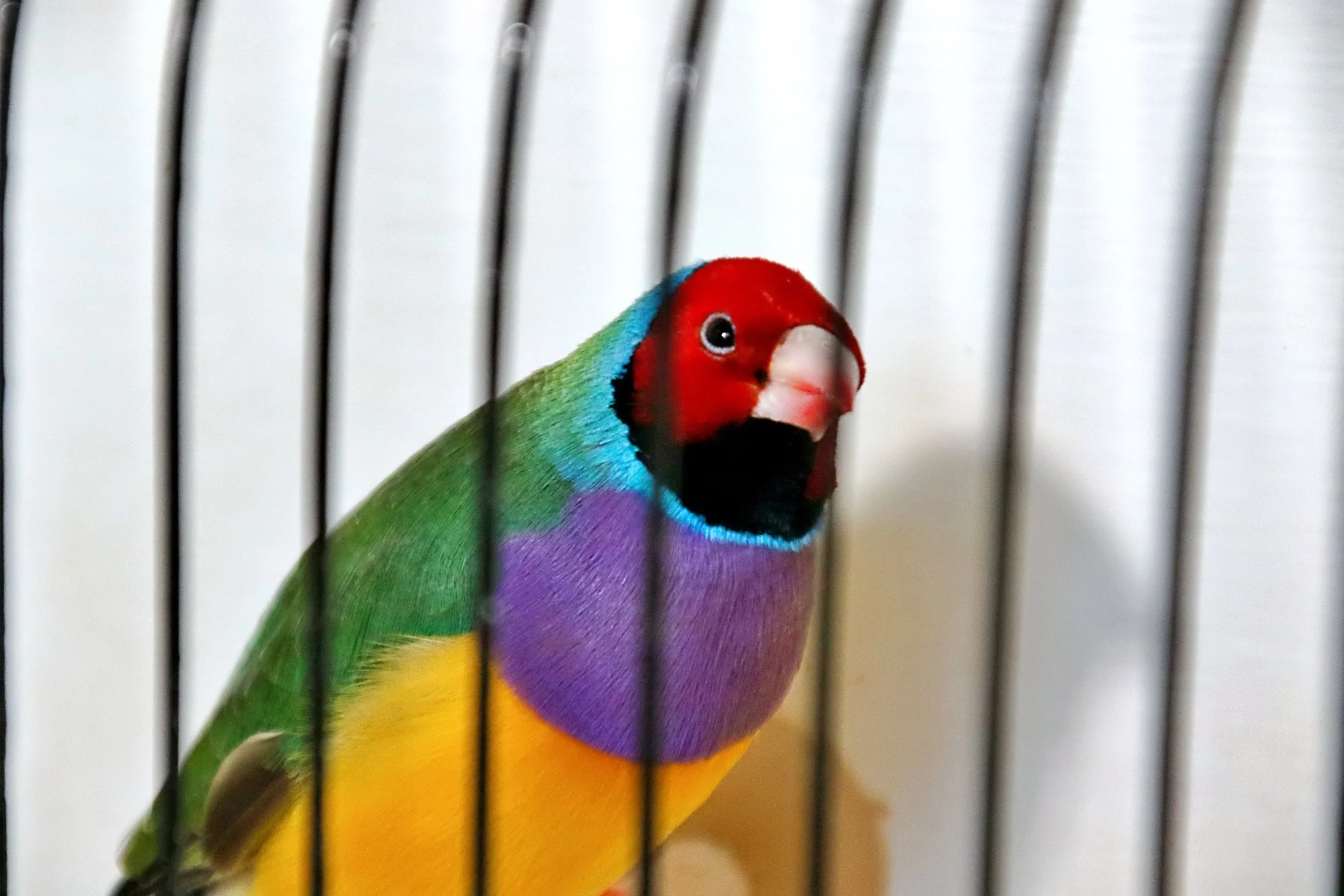 20251102 124133 Markinch CBS  0468.JPG