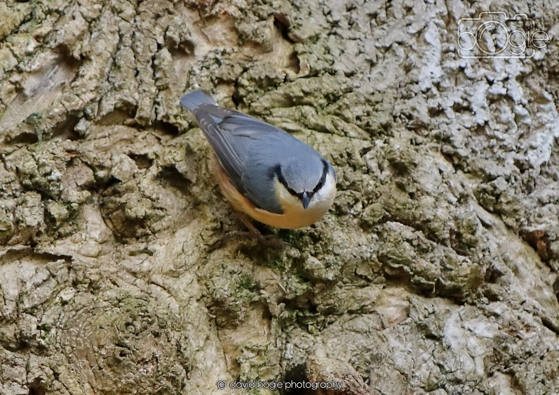 20260330 115510 Dunnikier 0277.jpg