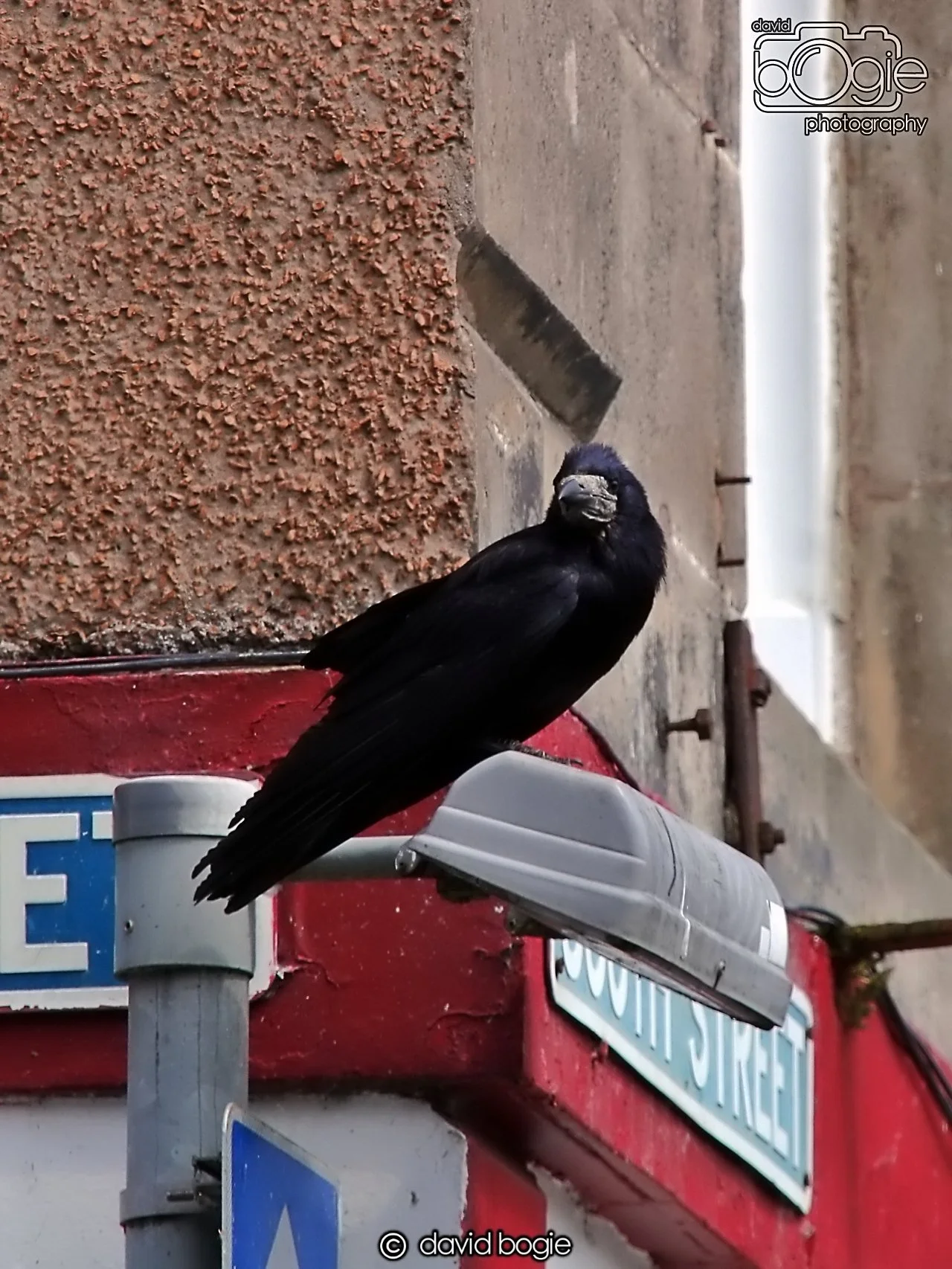 20240531 132907 St Andrews 0256.JPG