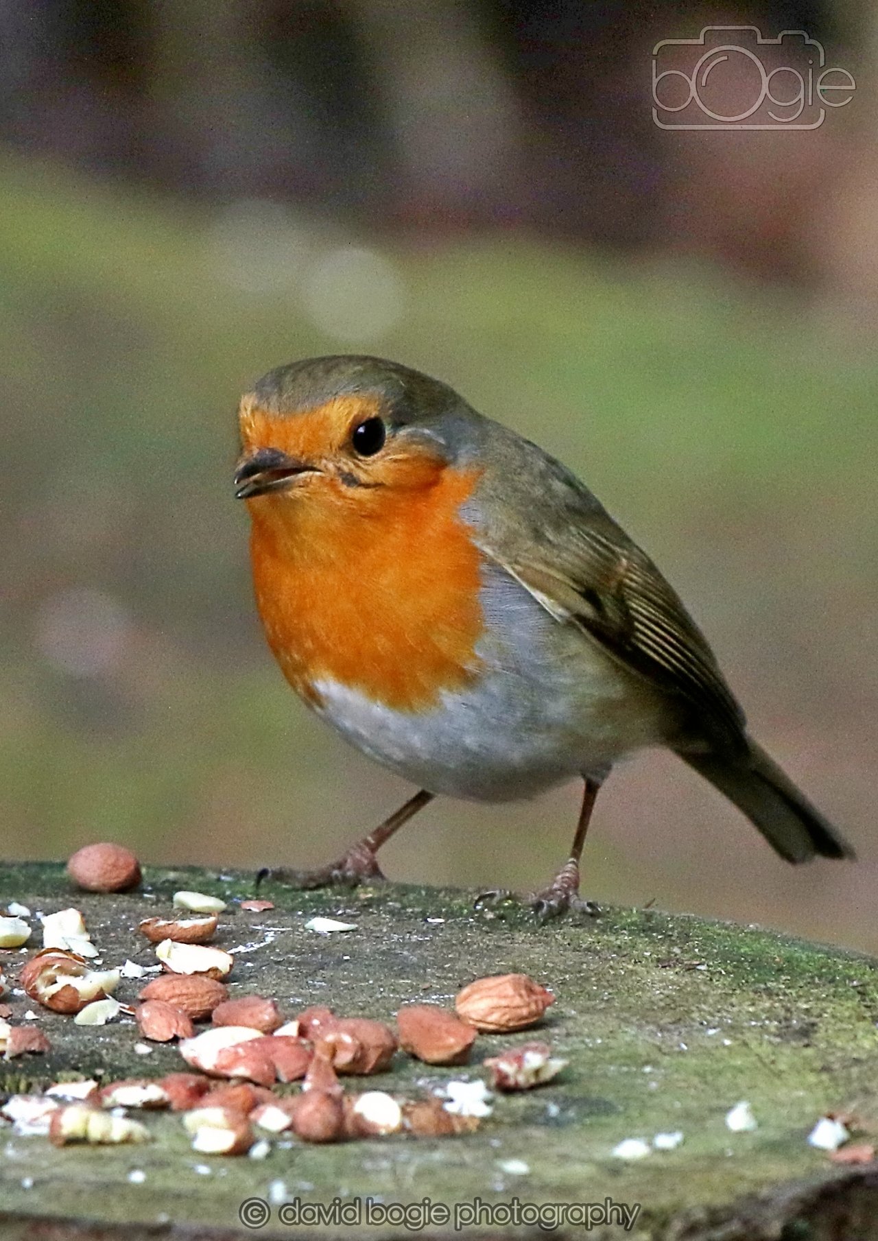 20260322 144148 Dunnikier 0082.jpg