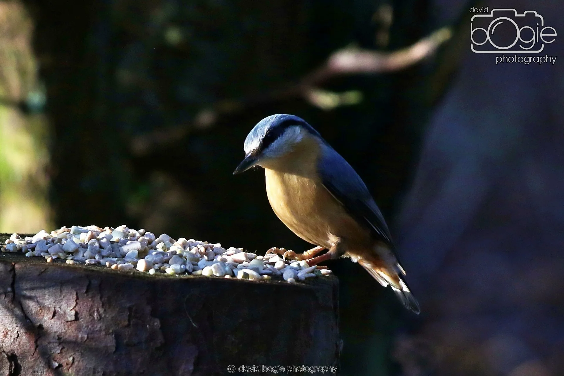 20260128 130025 Dunnikier 0114.JPG