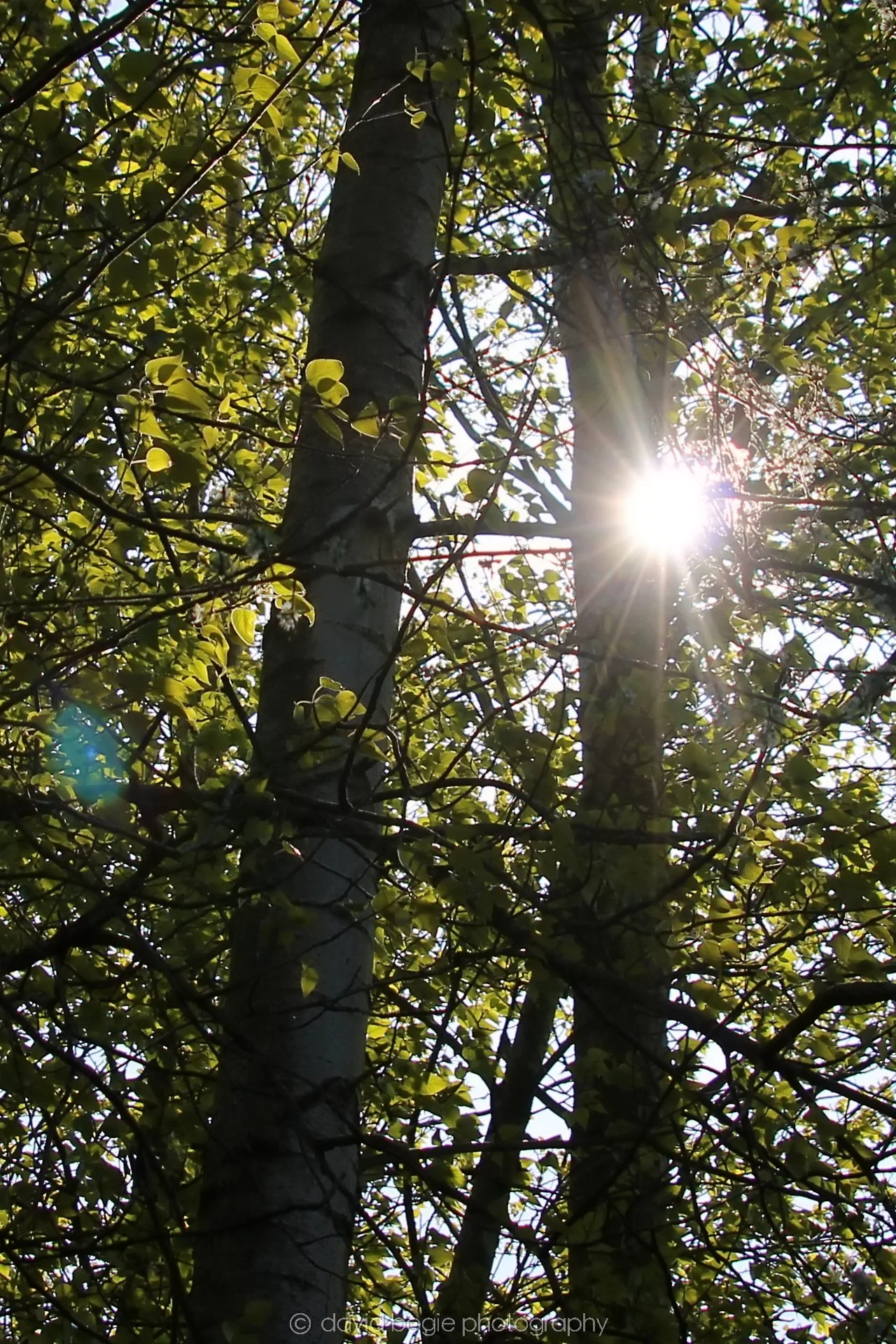 20210420 Lochore 42.jpg