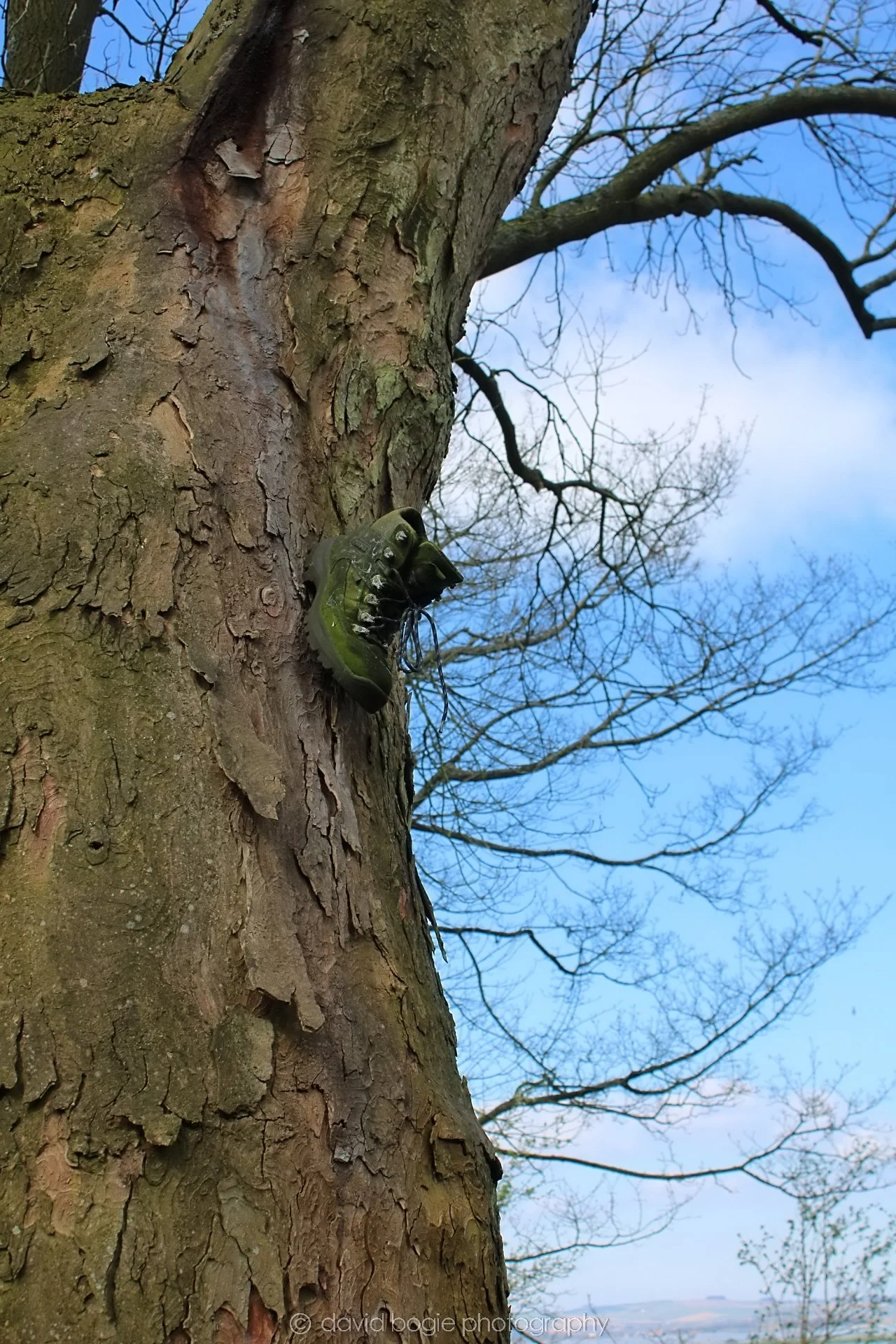 20190410 120756 Vane Farm 0015.jpg