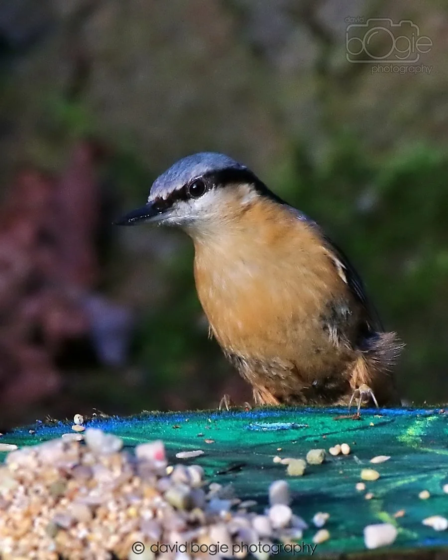 20260128 142020 Dunnikier 0326.jpg