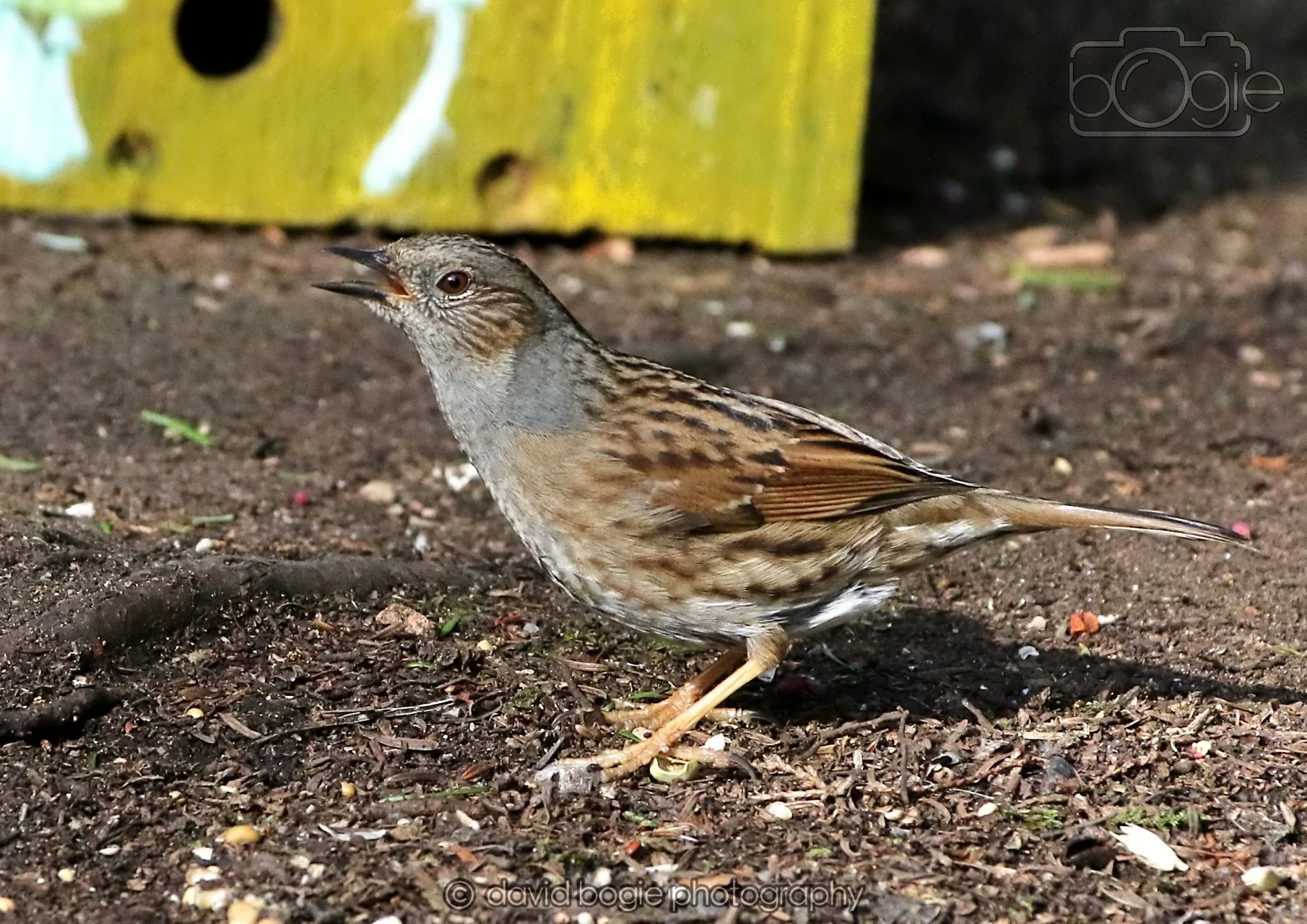 20260322 144521 Dunnikier 0152.jpg