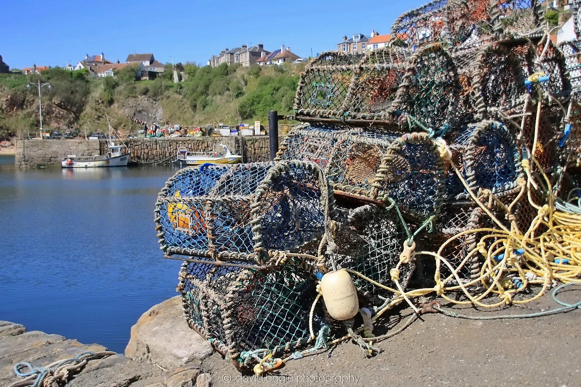 YEAR20250509 120239 Crail 0192.jpg