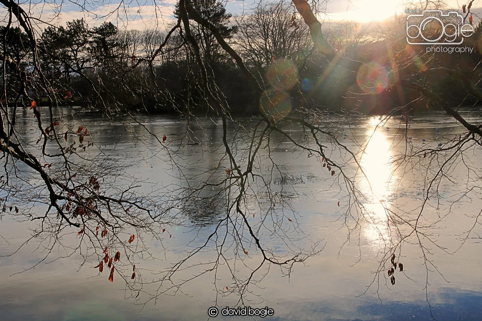 20221222 Beveridge Park 00005.JPG