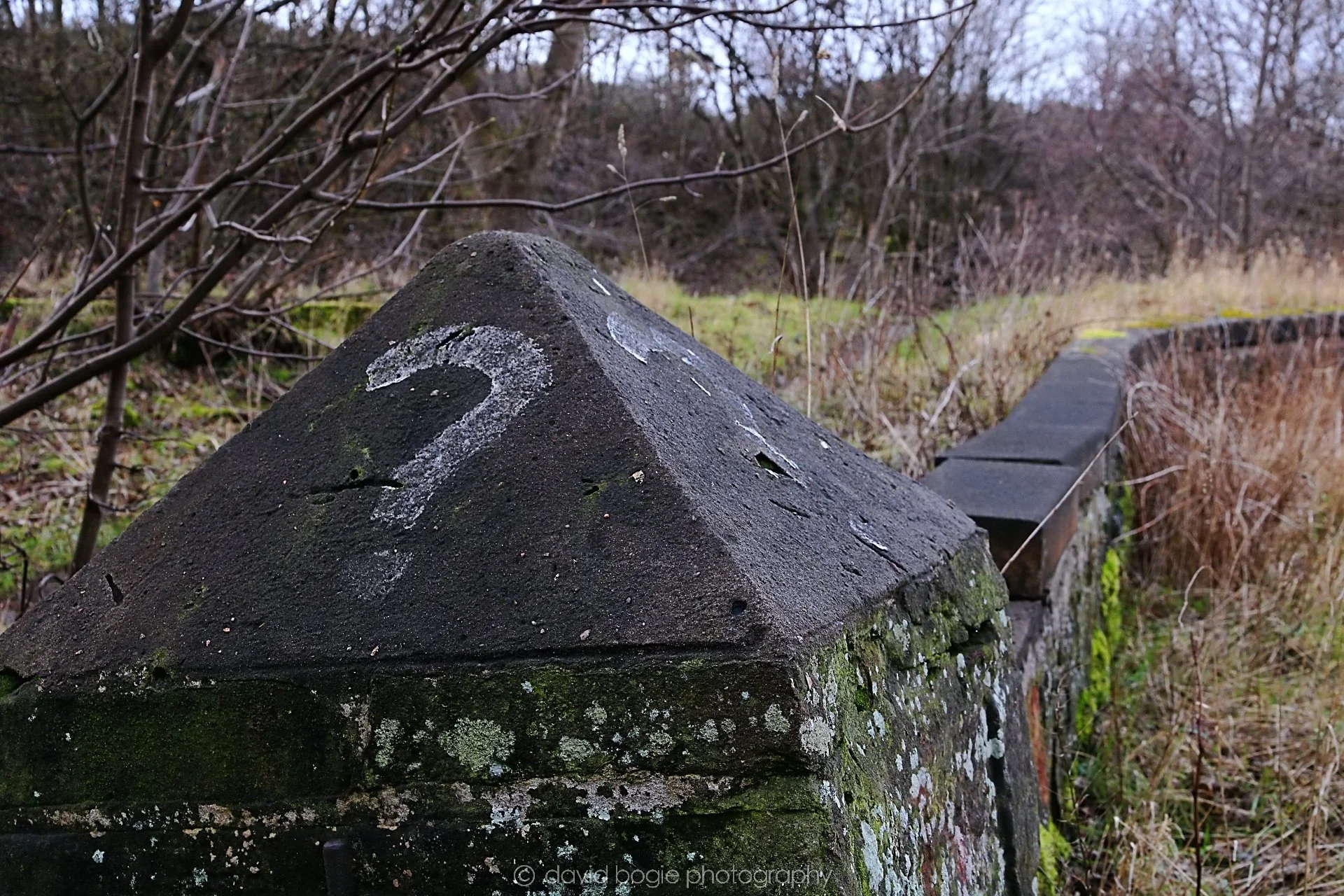 YEAR20220202 Levenmouth 00034.jpg