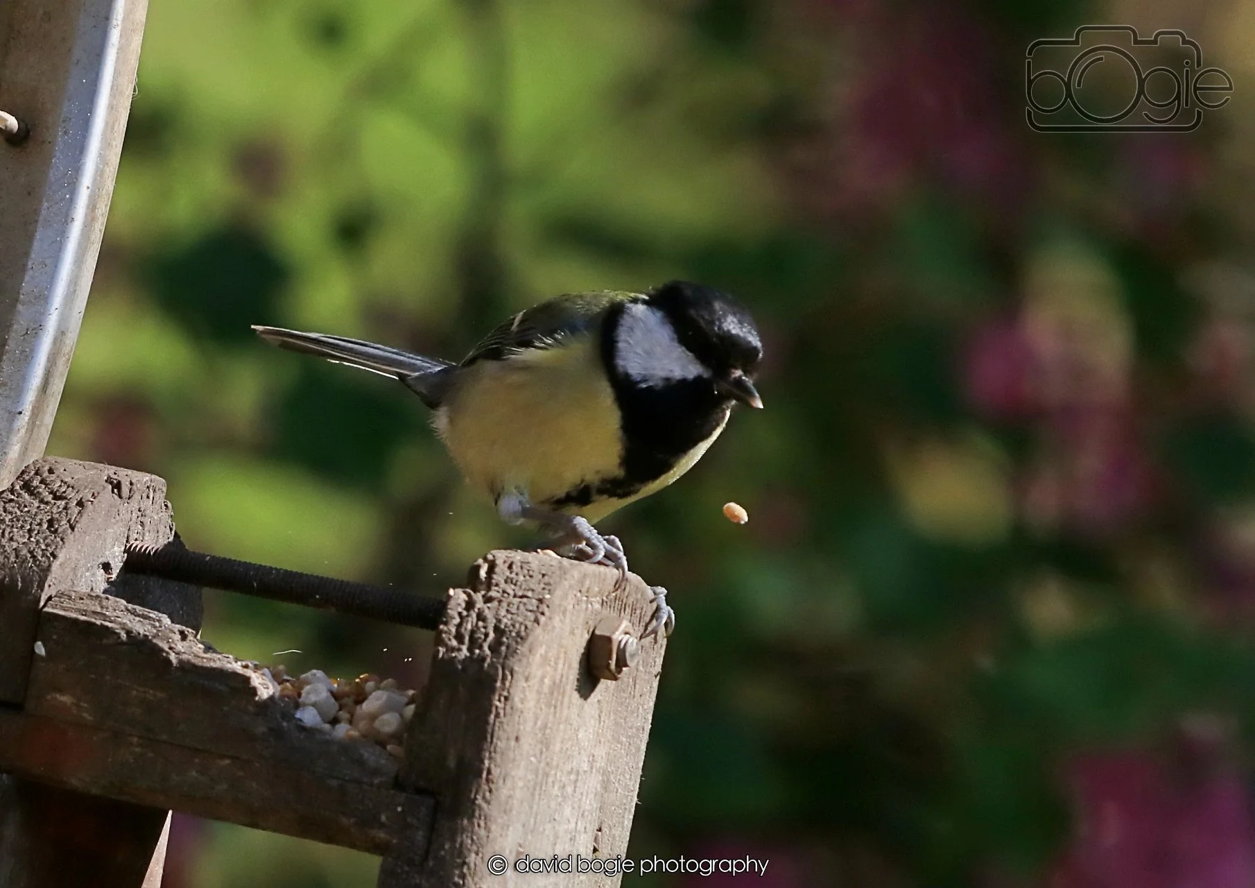 20260402 094957 Silverburn 0030.jpg