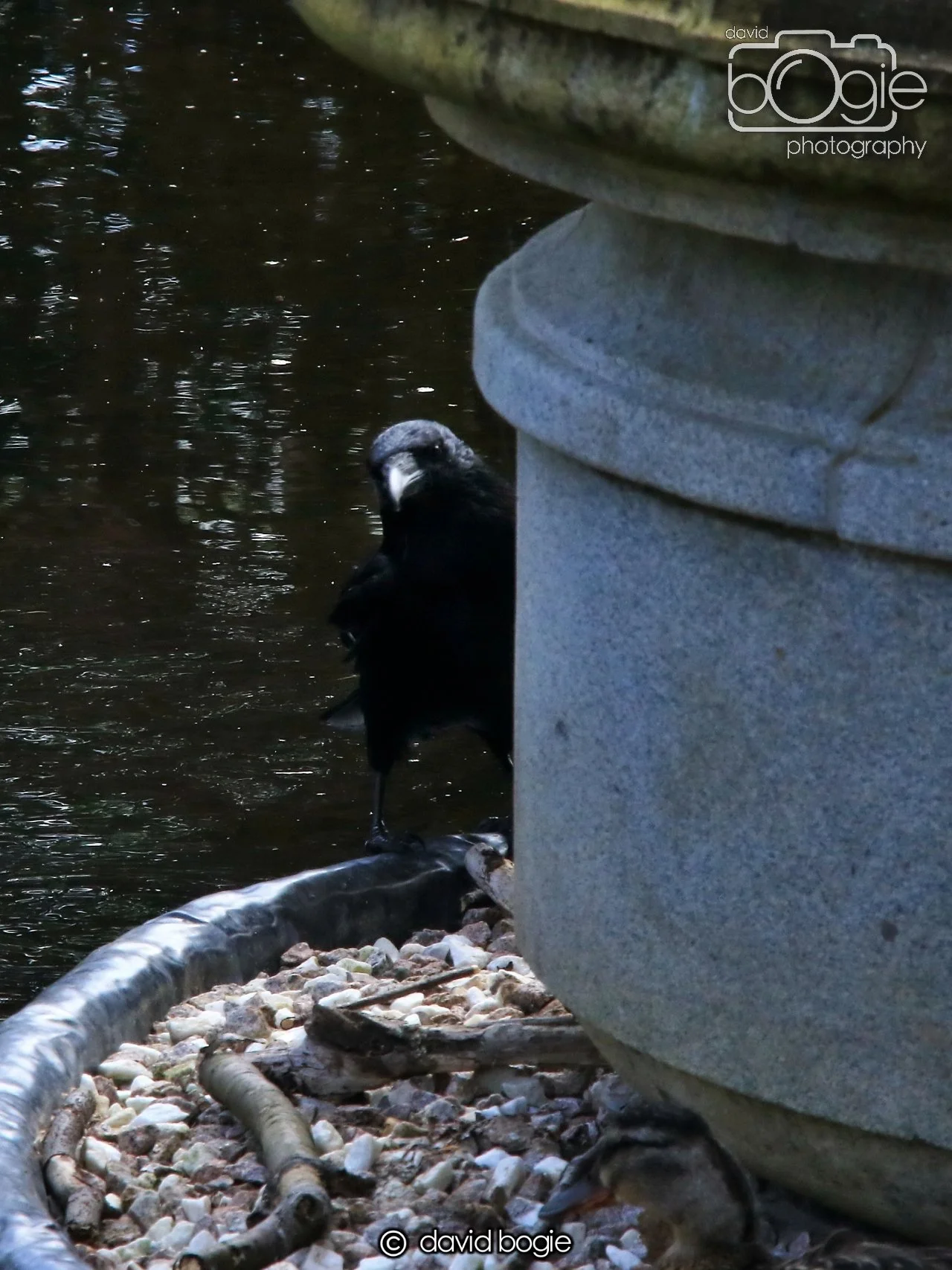 20250505 132212 Beveridge Park 0775.JPG